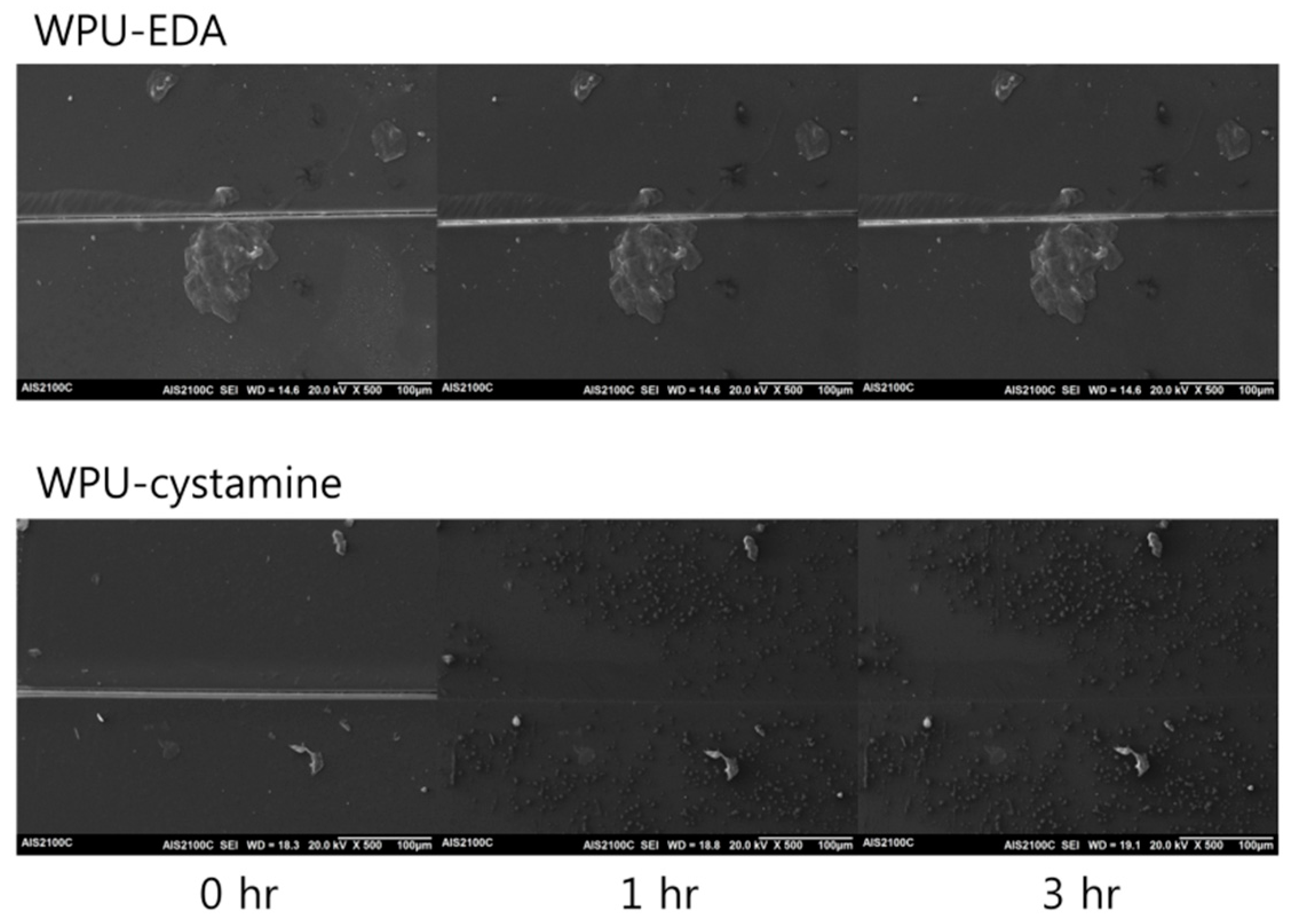 Molecules 24 01492 g006 Molecules 24 01492 g006