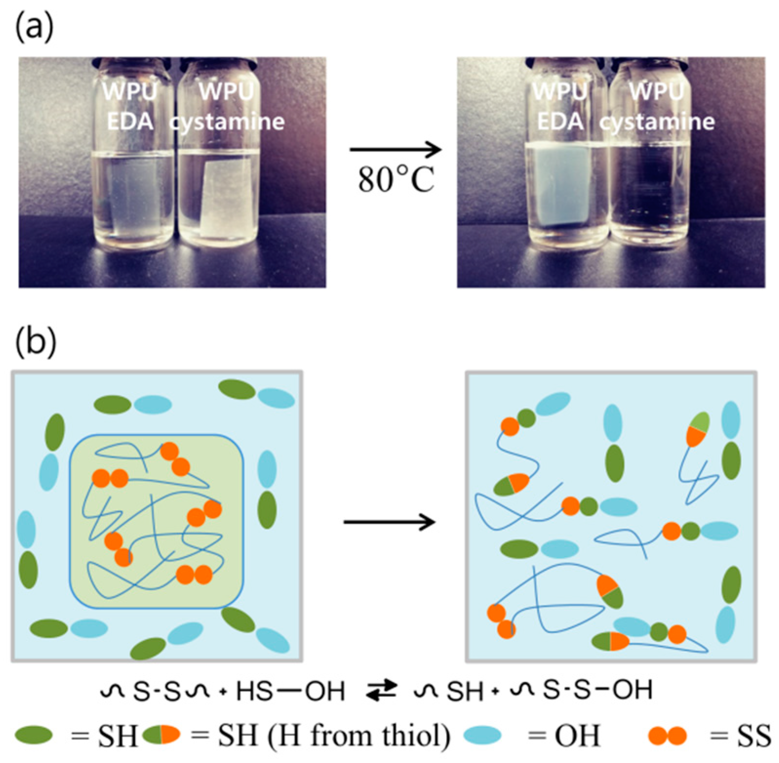 Molecules 24 01492 g008 Molecules 24 01492 g008