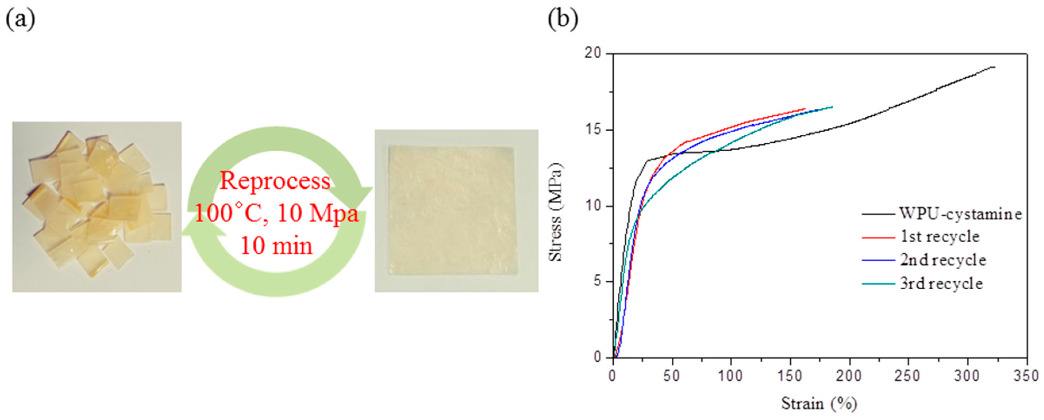 Molecules 24 01492 g009 Molecules 24 01492 g009