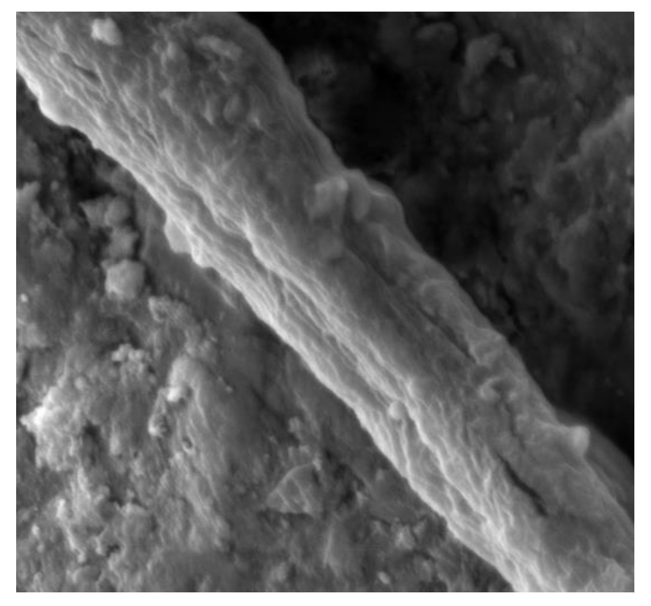 Molecules 24 01497 g001 Molecules 24 01497 g001