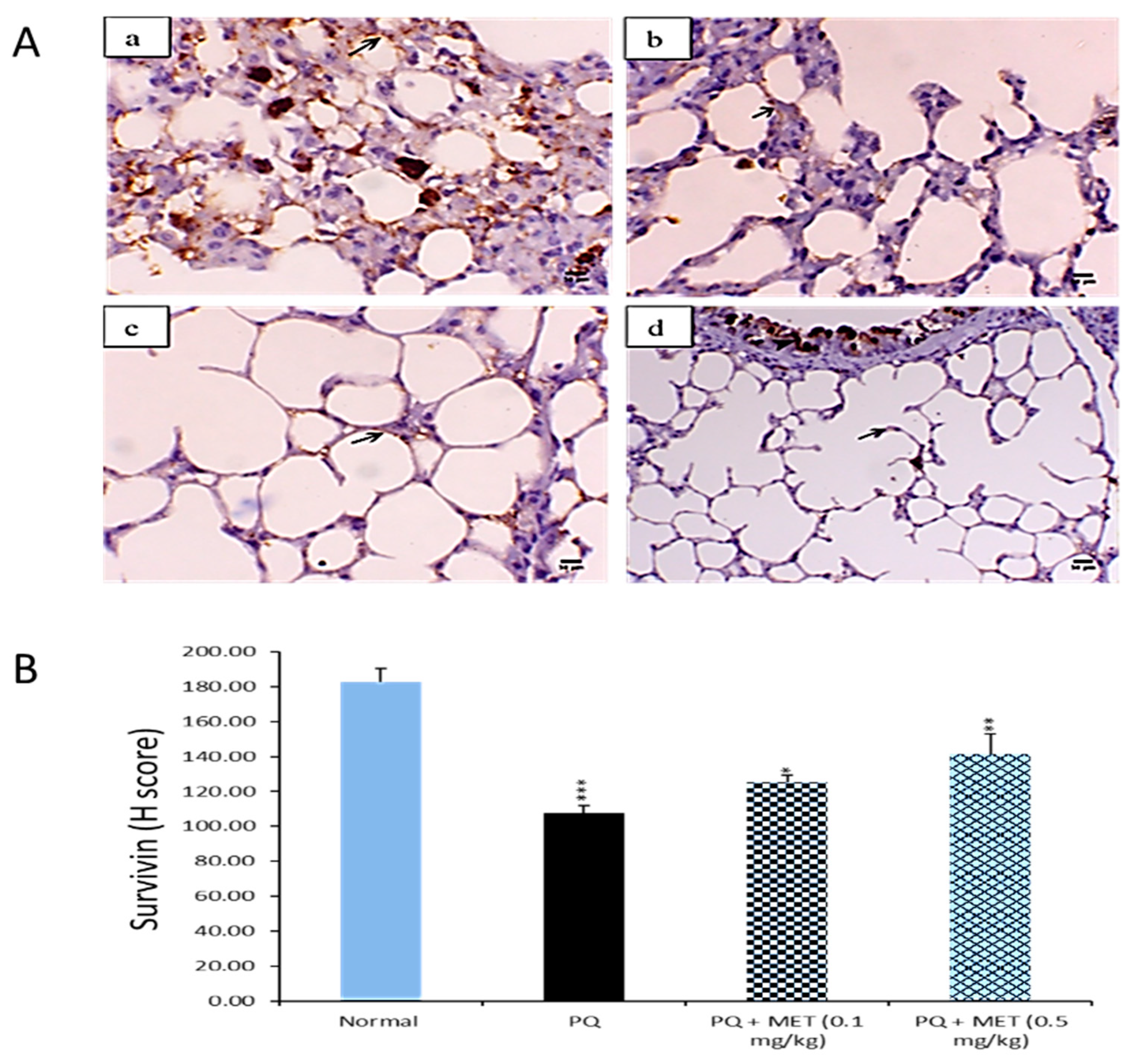 Molecules 24 01498 g008