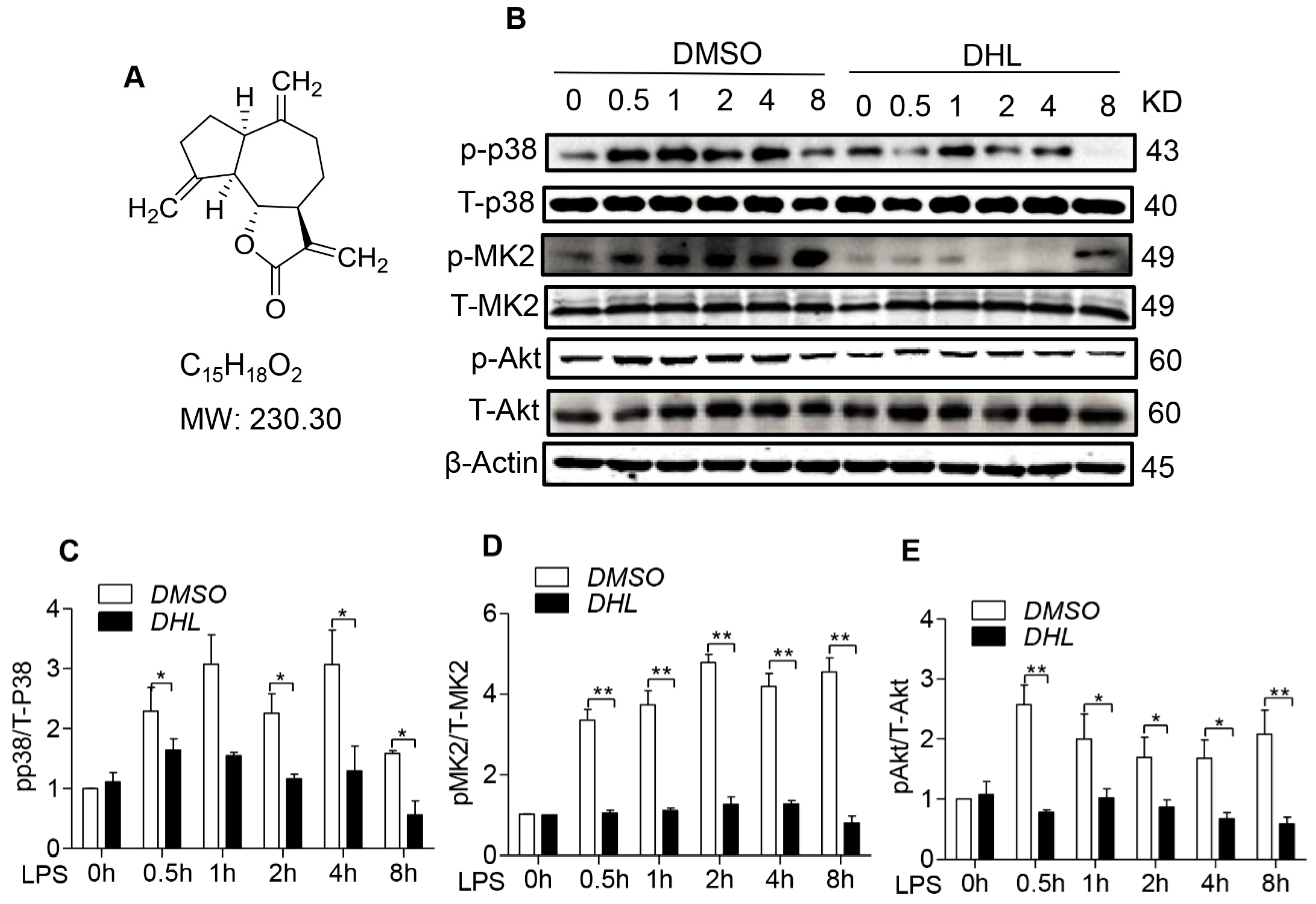 Molecules 24 01510 g001 Molecules 24 01510 g001