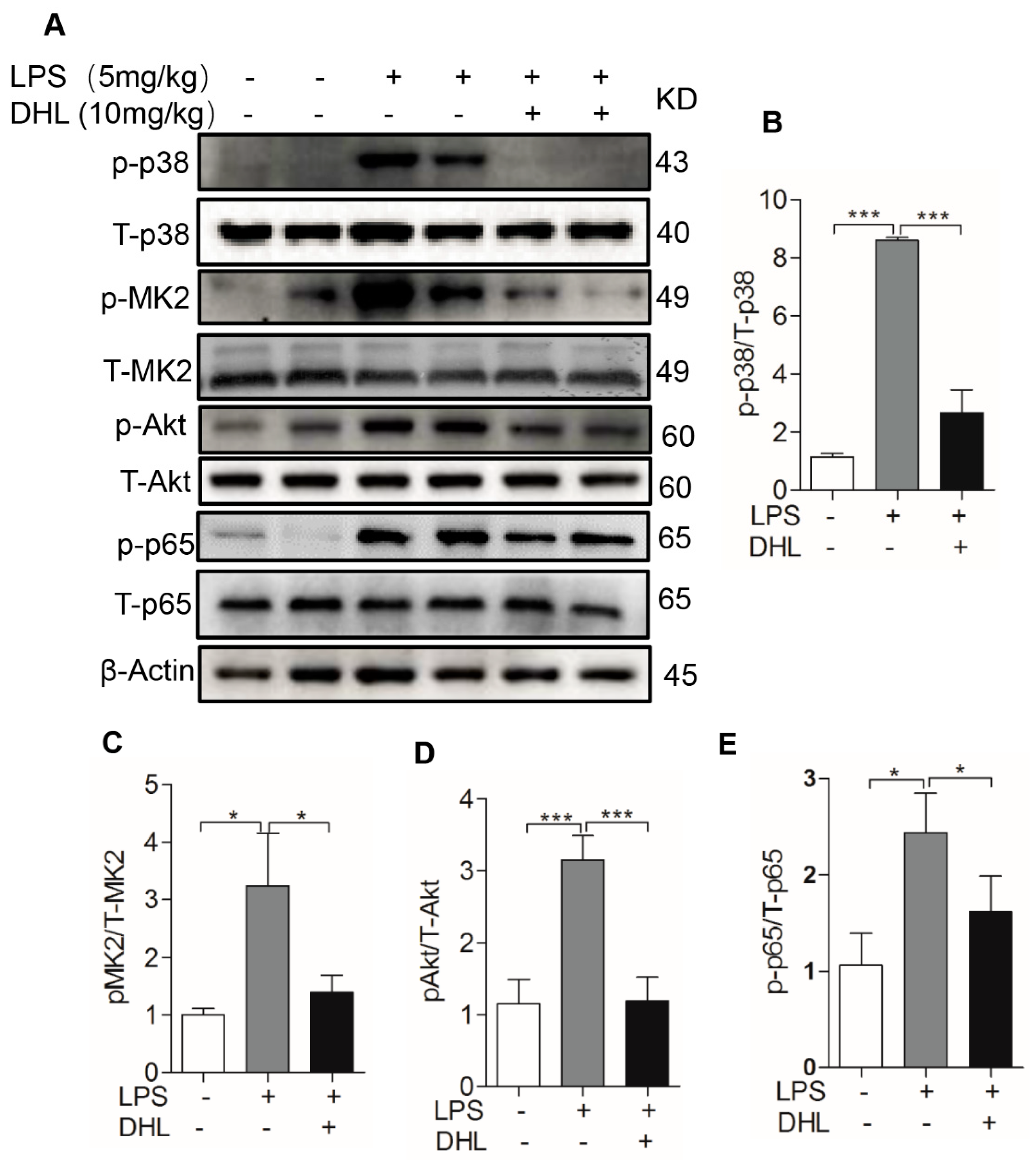Molecules 24 01510 g008 Molecules 24 01510 g008