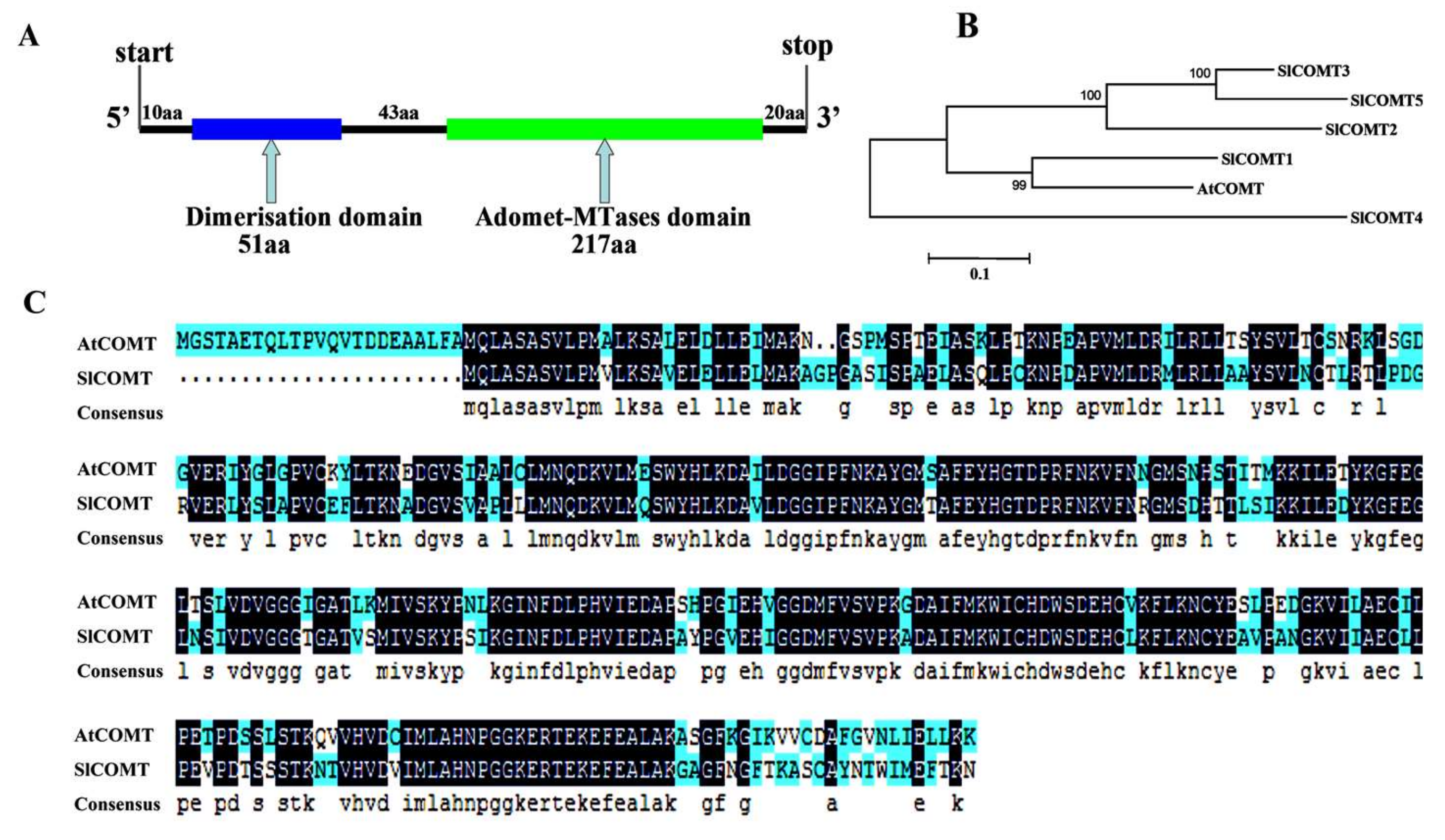 Molecules 24 01514 g001 550