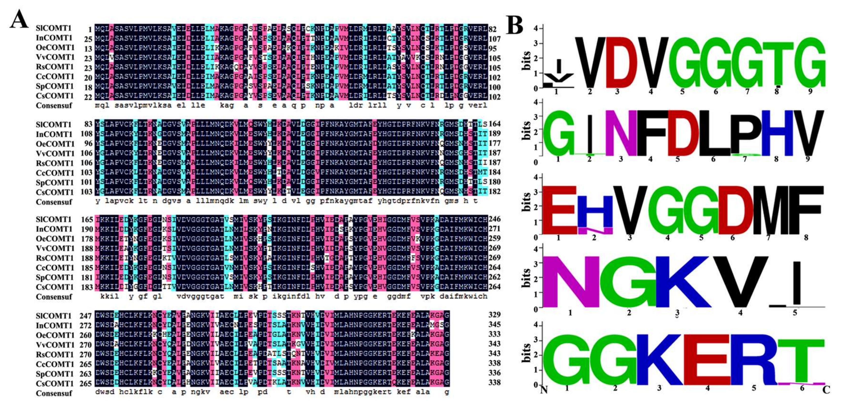 Molecules 24 01514 g003 550