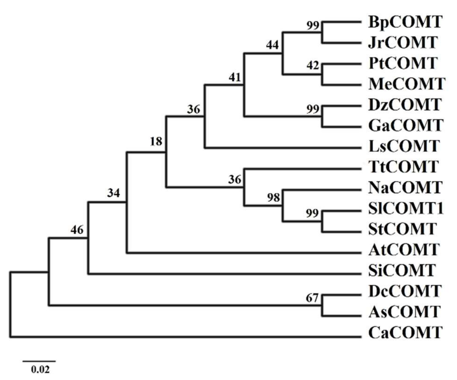 Molecules 24 01514 g004 550