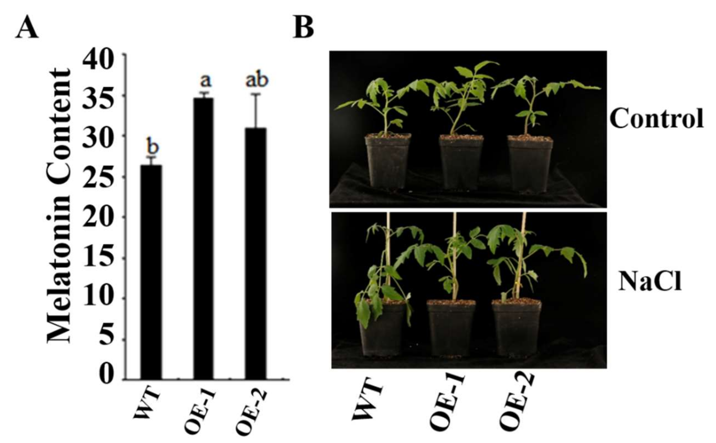 Molecules 24 01514 g008 550