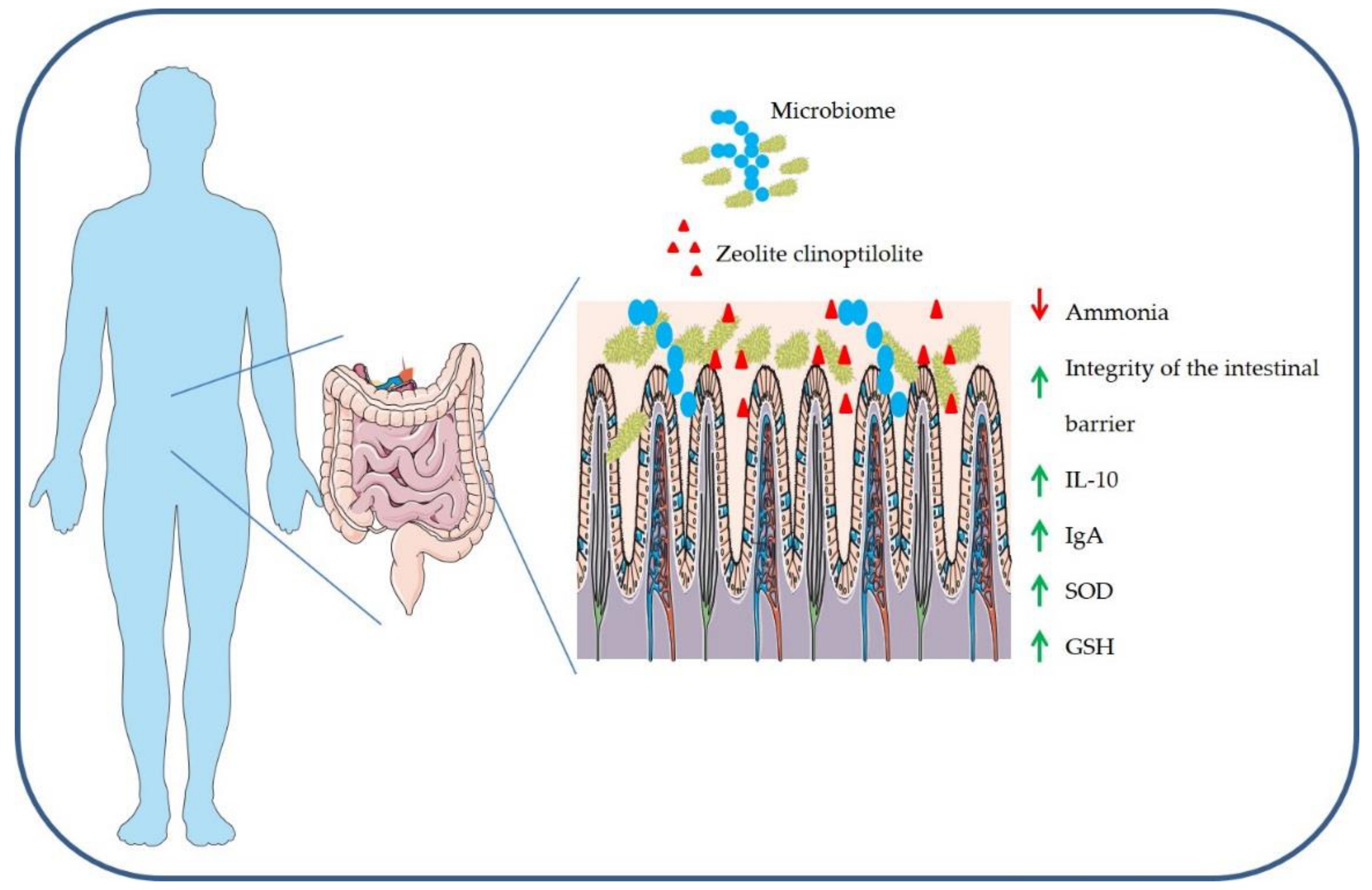 can breast cancer cause mesothelioma