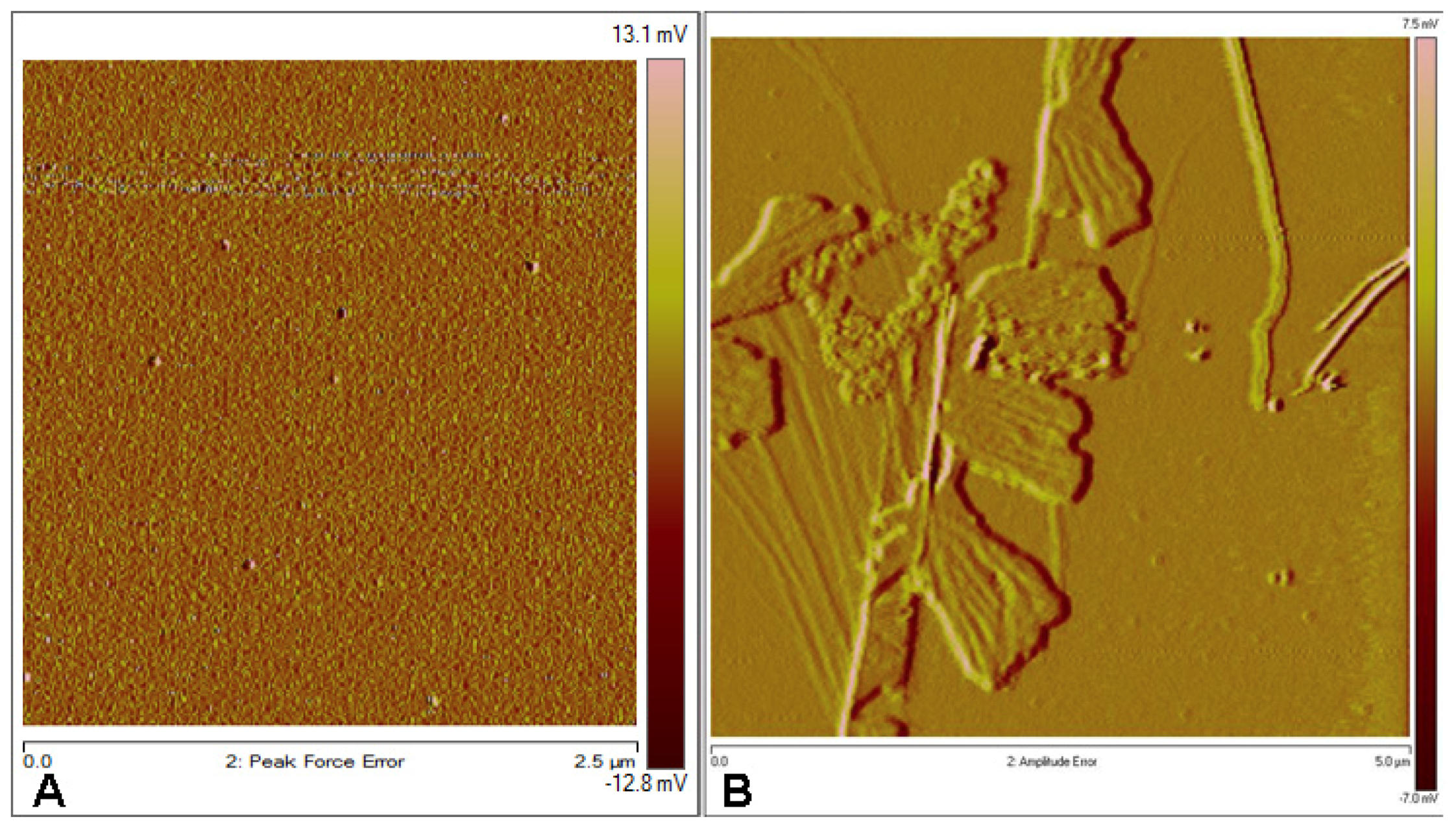 Molecules 24 01524 g005 550