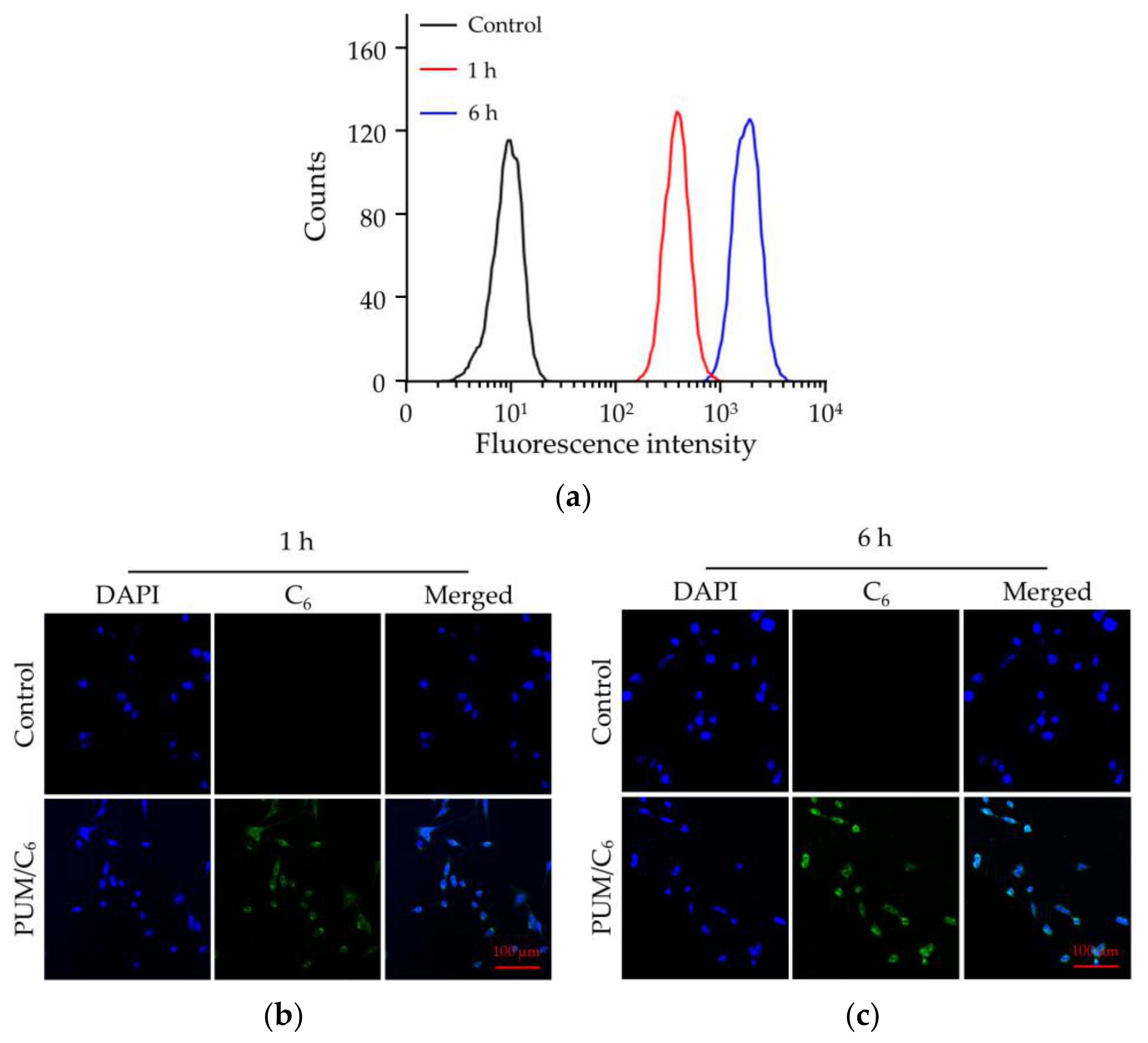 Molecules 24 01538 g003 550