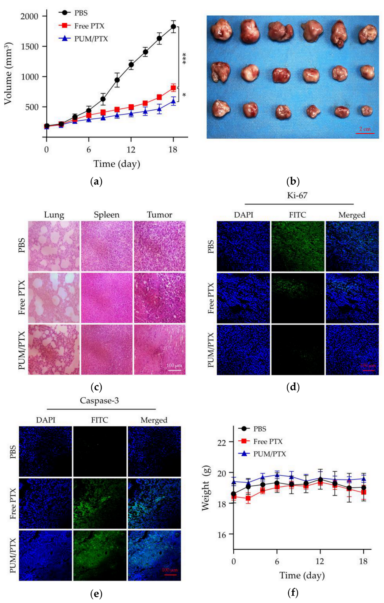 Molecules 24 01538 g005 550