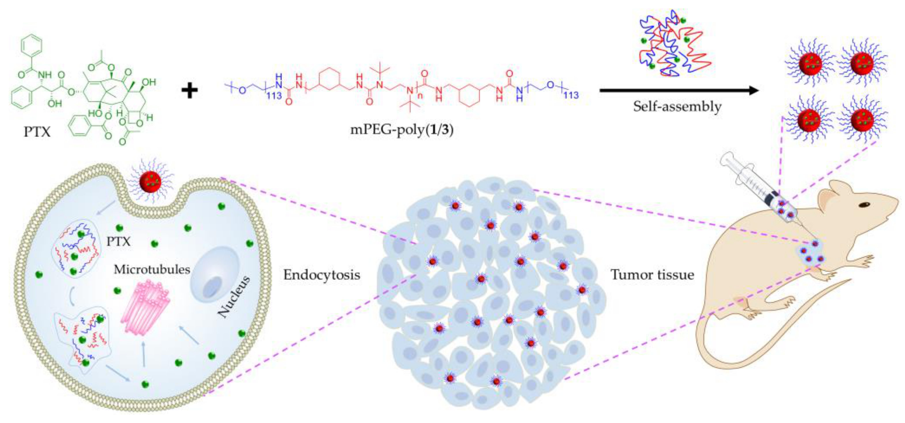 Molecules 24 01538 sch002 550