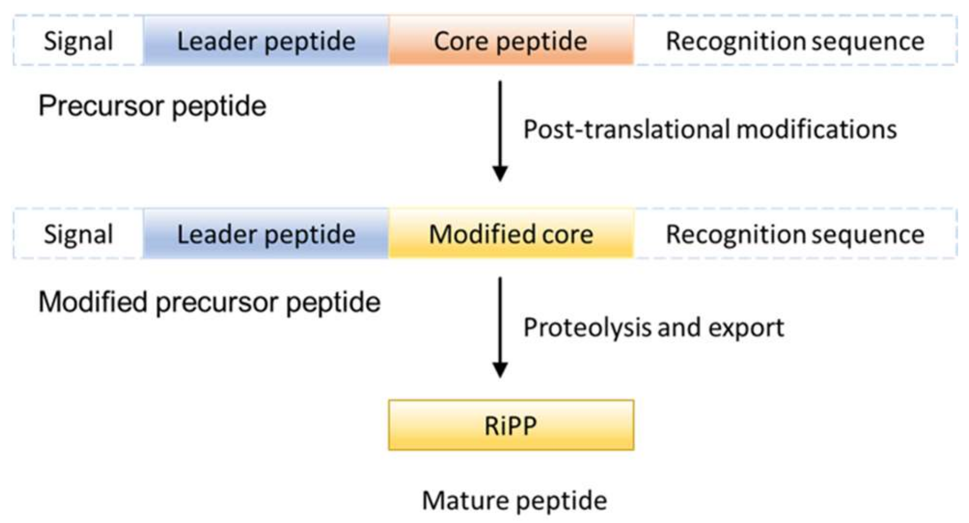 Molecules 24 01541 g001 550