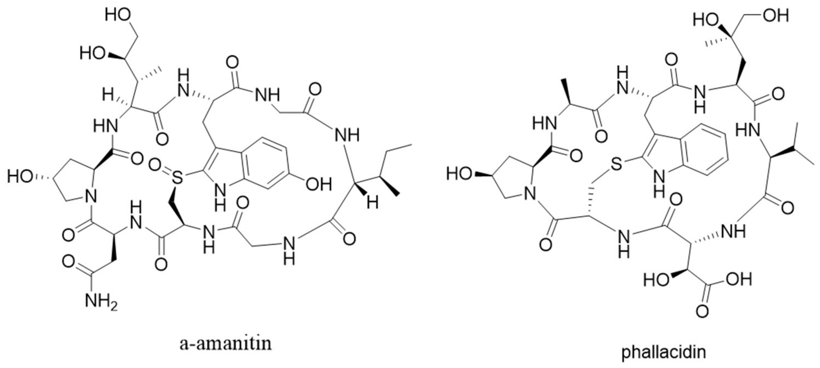 Molecules 24 01541 g002 550