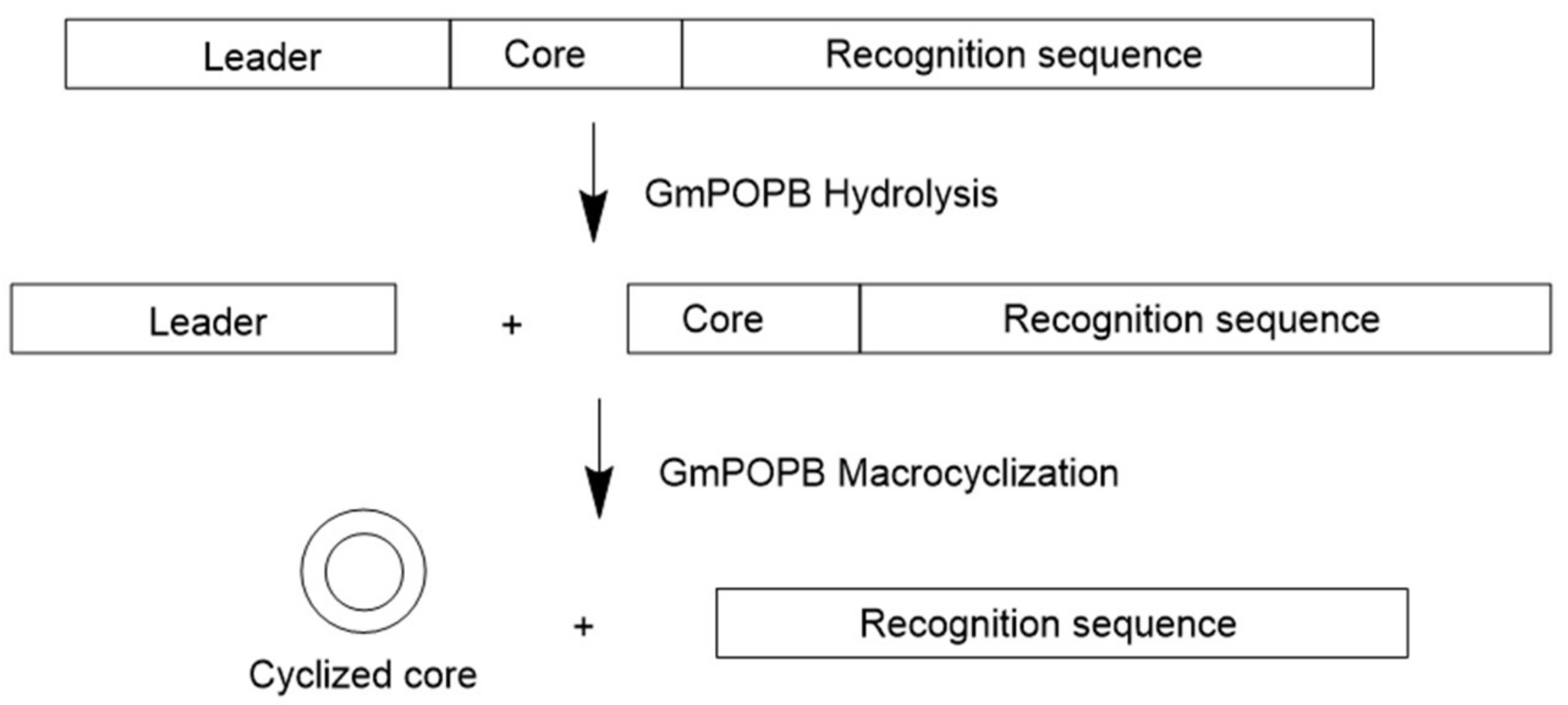 Molecules 24 01541 g003 550