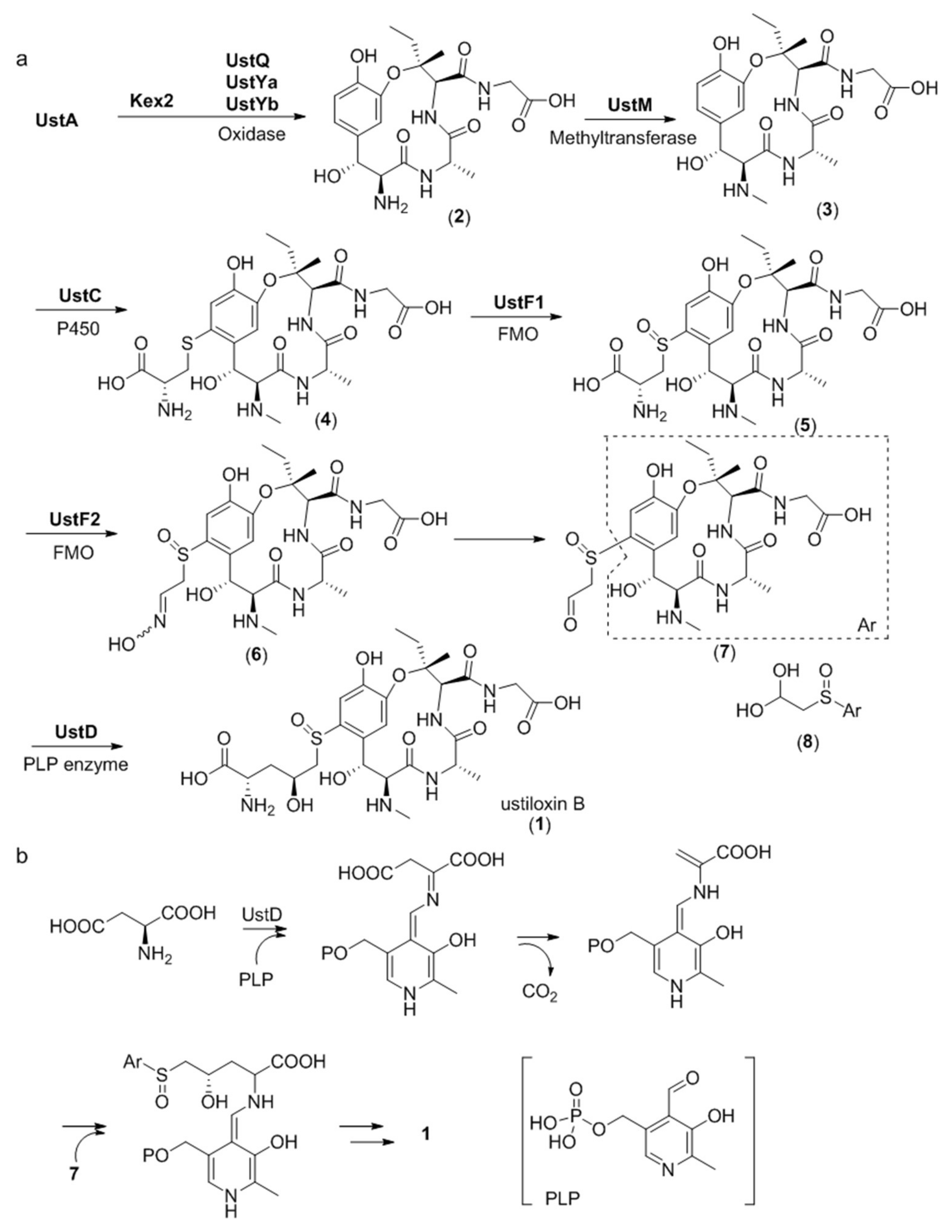Molecules 24 01541 g009 550