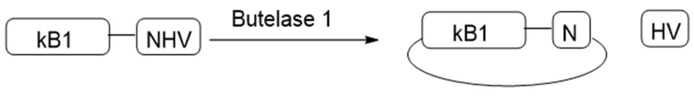 Molecules 24 01541 g012 550