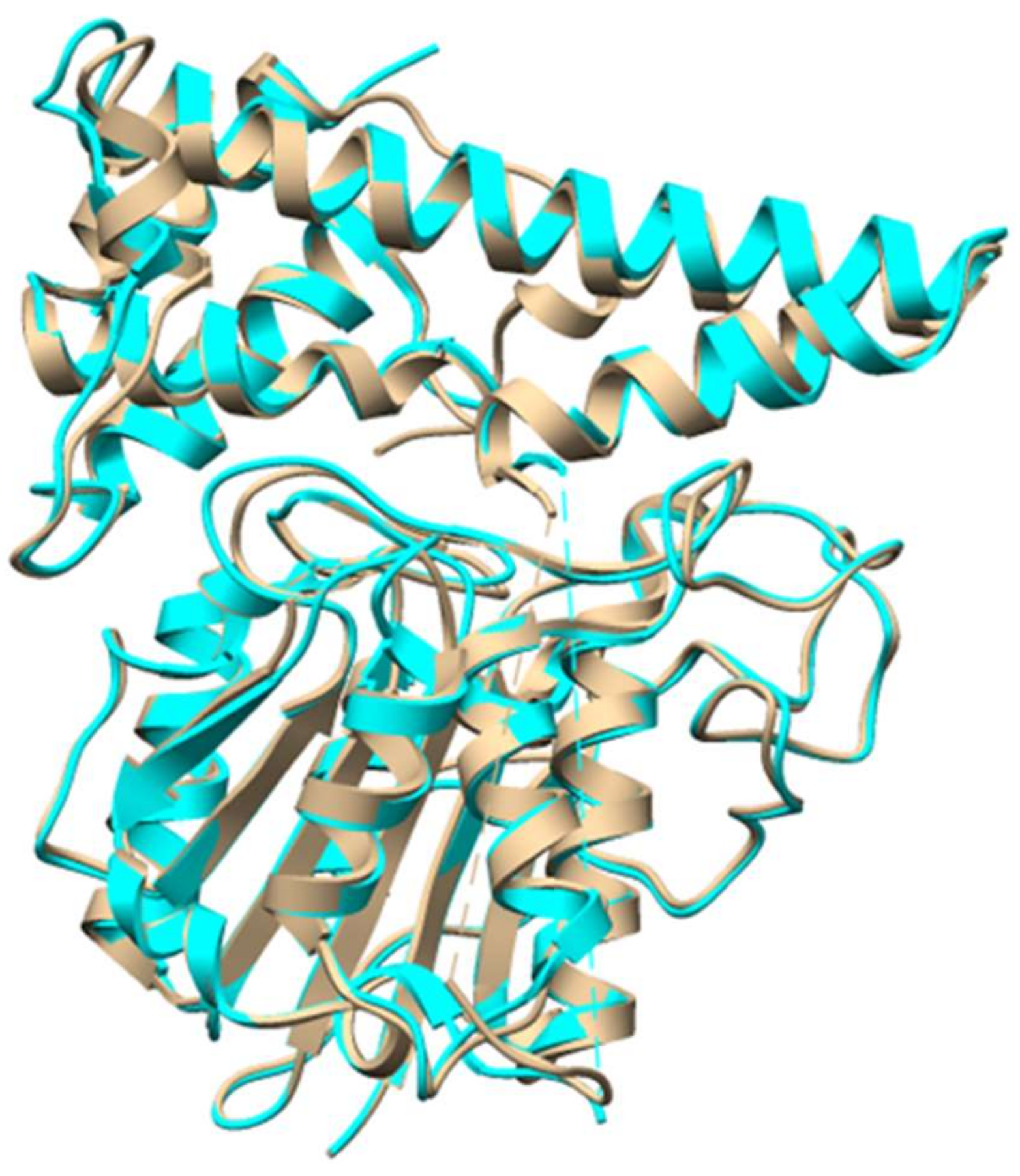 Molecules 24 01541 g013 550