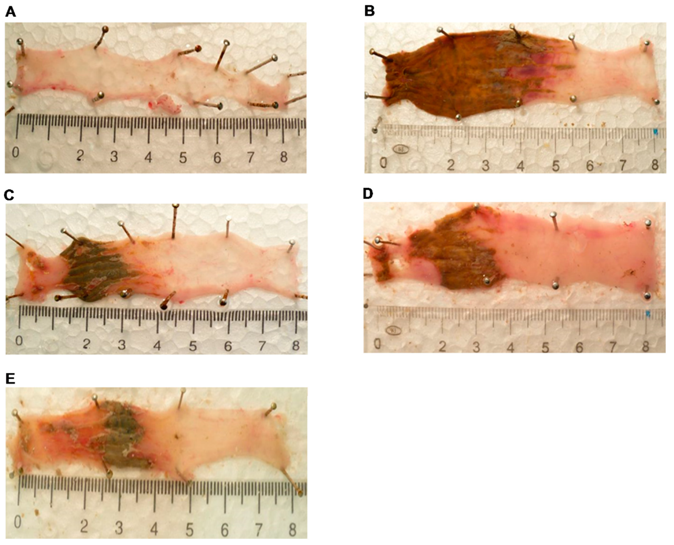 Molecules 24 01546 g002