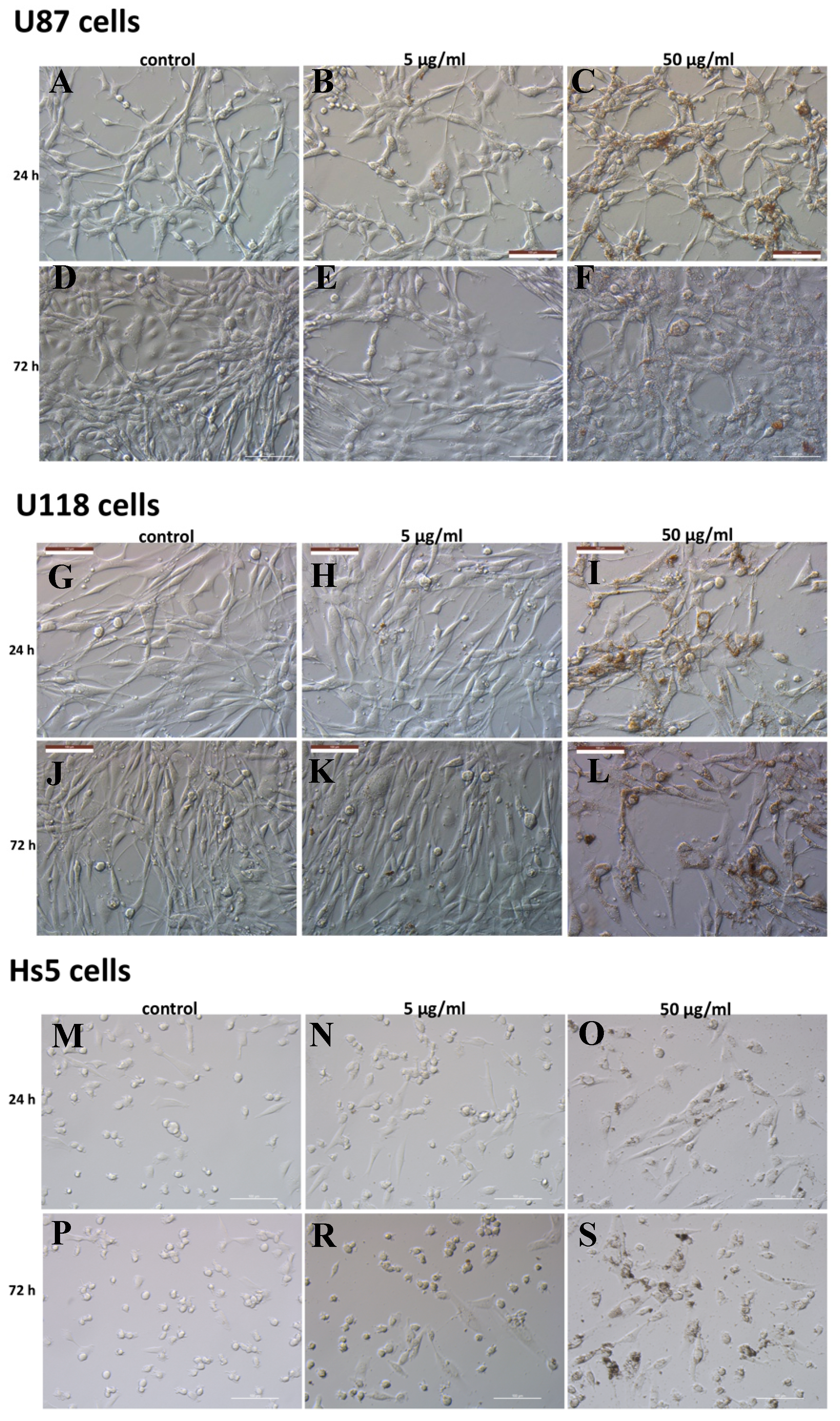 Molecules 24 01549 g002