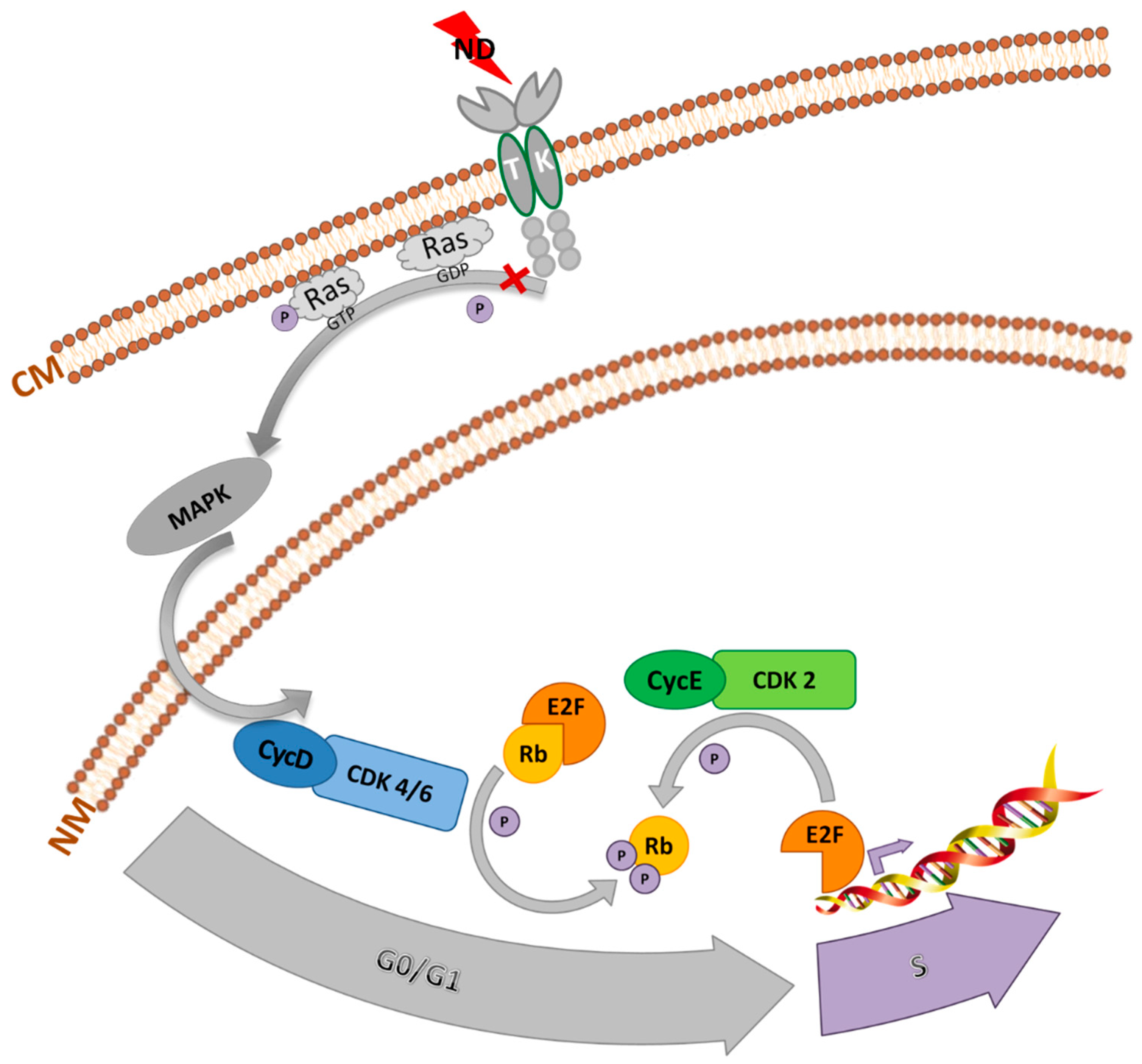 Molecules 24 01549 g009