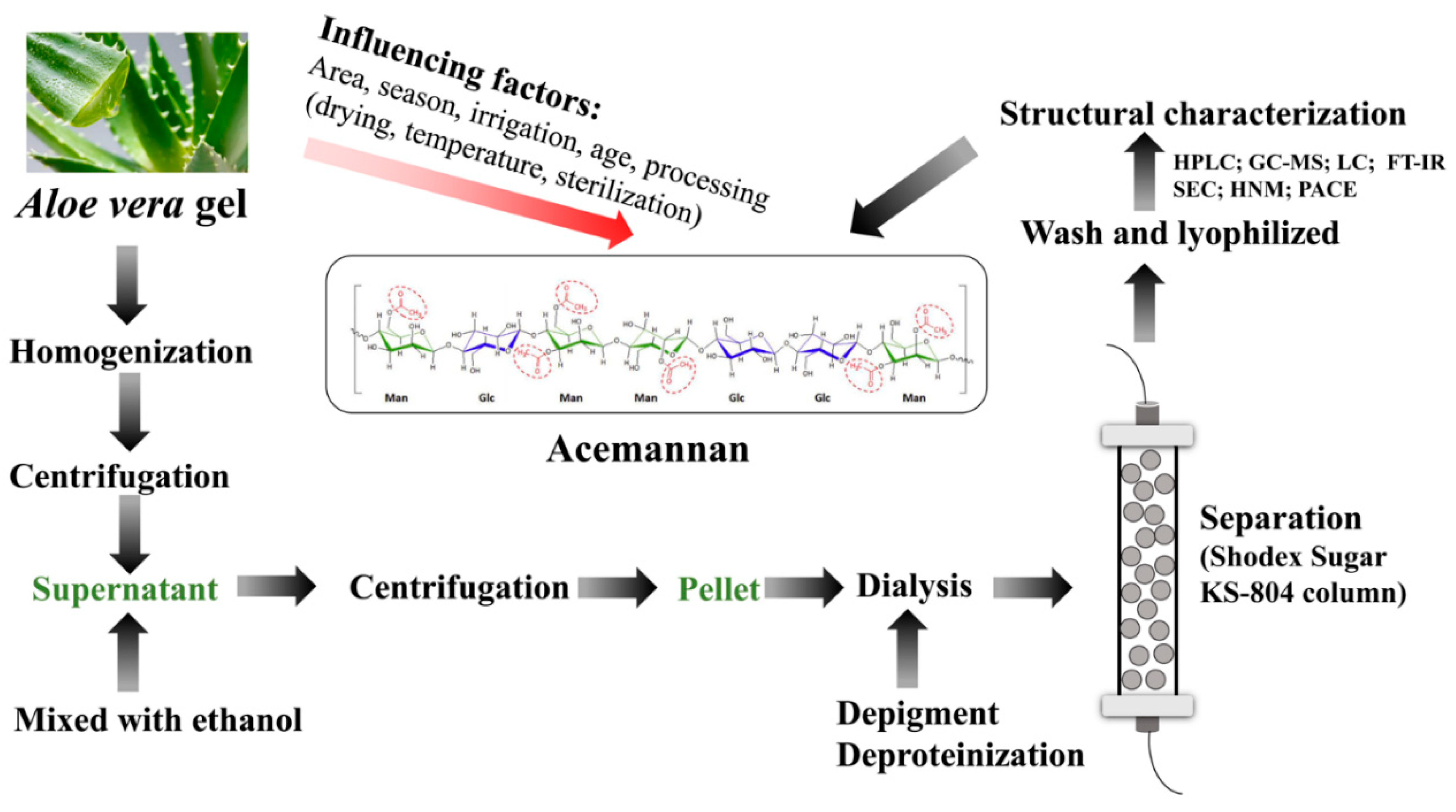 Molecules | Free | Extraction, Purification, Characteristics, Biological Activities and Pharmacological Applications of a from Aloe vera: A Review