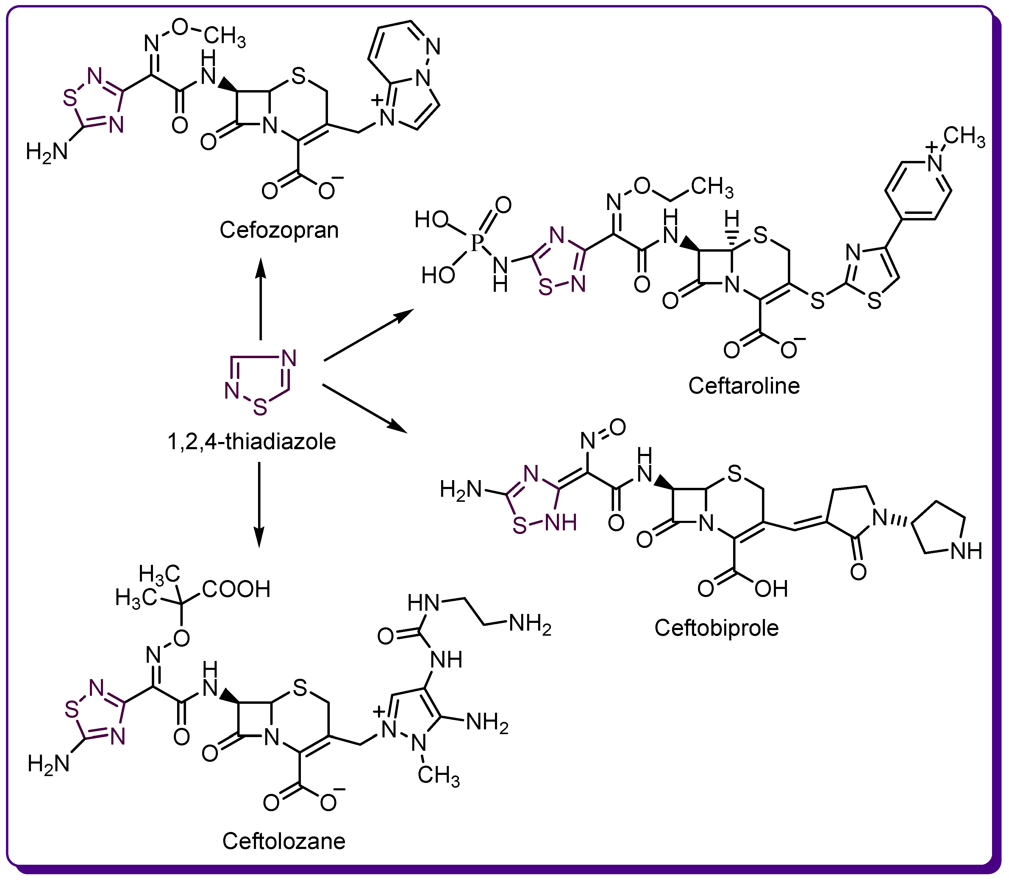 Molecules 24 01557 g004 Molecules 24 01557 g004