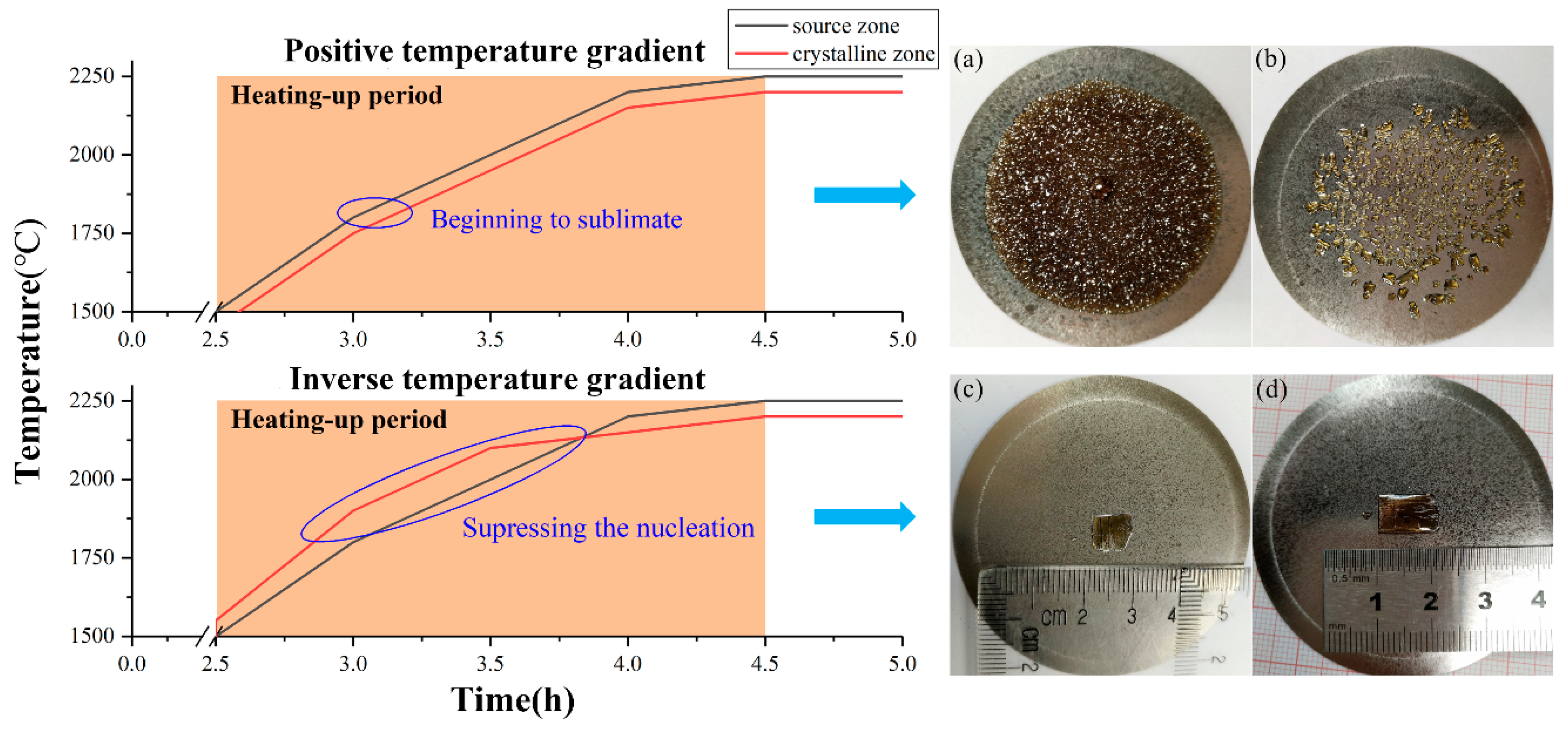 Molecules 24 01562 g003 Molecules 24 01562 g003