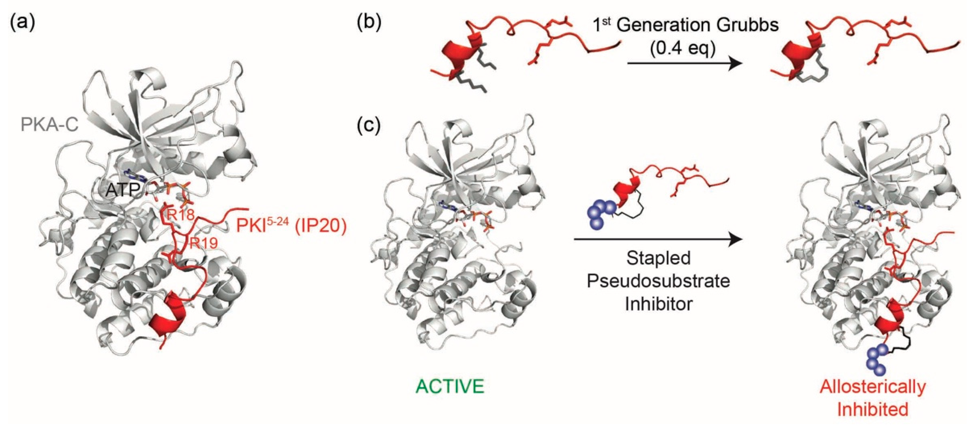 Molecules 24 01567 g001