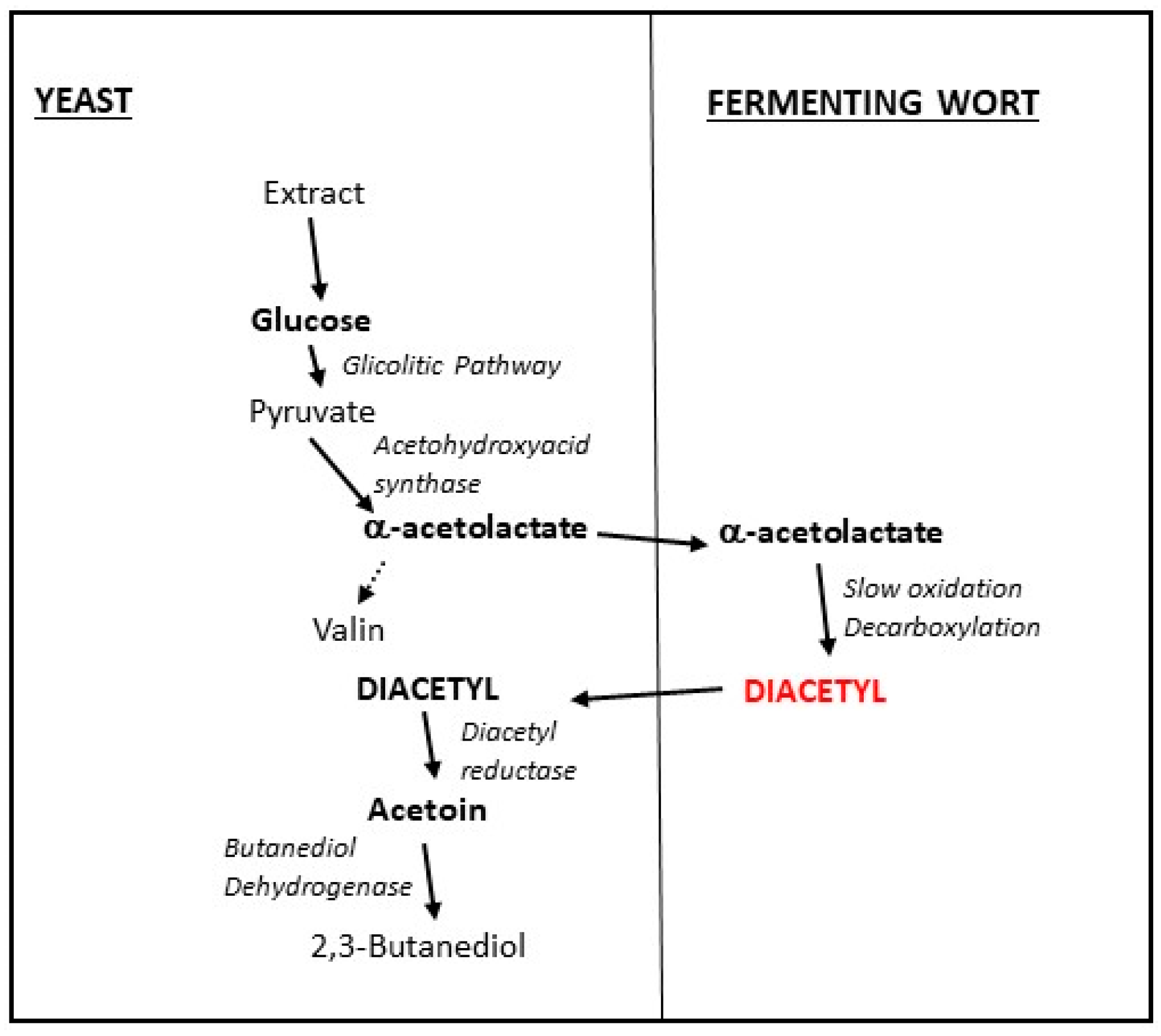 Molecules 24 01568 g003 Molecules 24 01568 g003