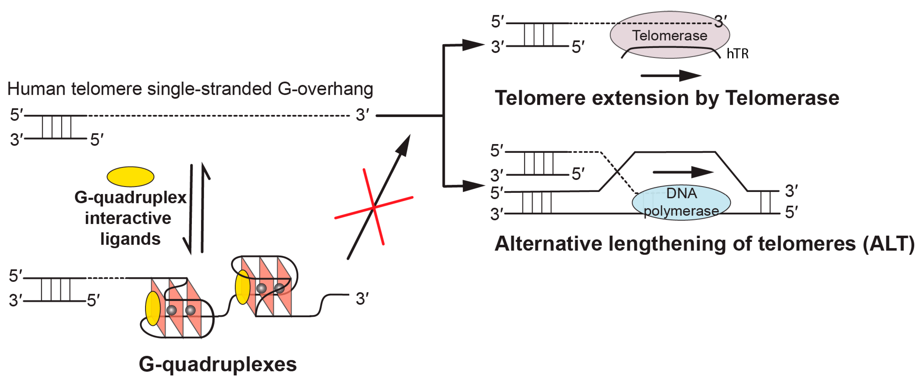 Molecules 24 01578 g001 Molecules 24 01578 g001