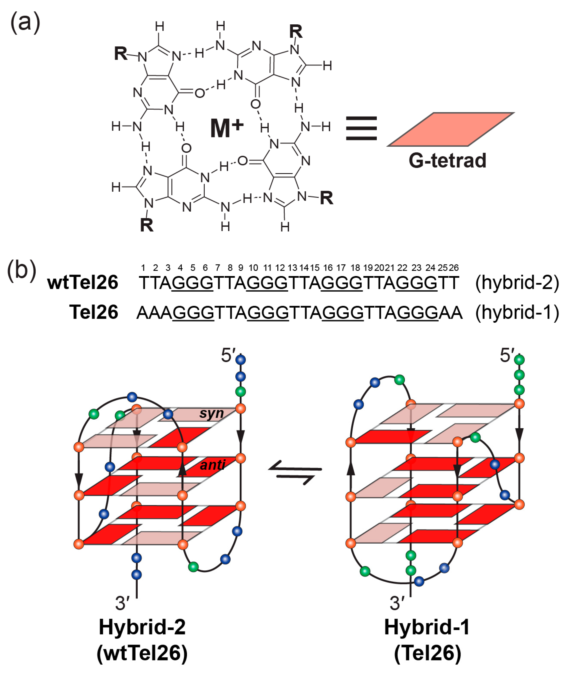 Molecules 24 01578 g002 Molecules 24 01578 g002