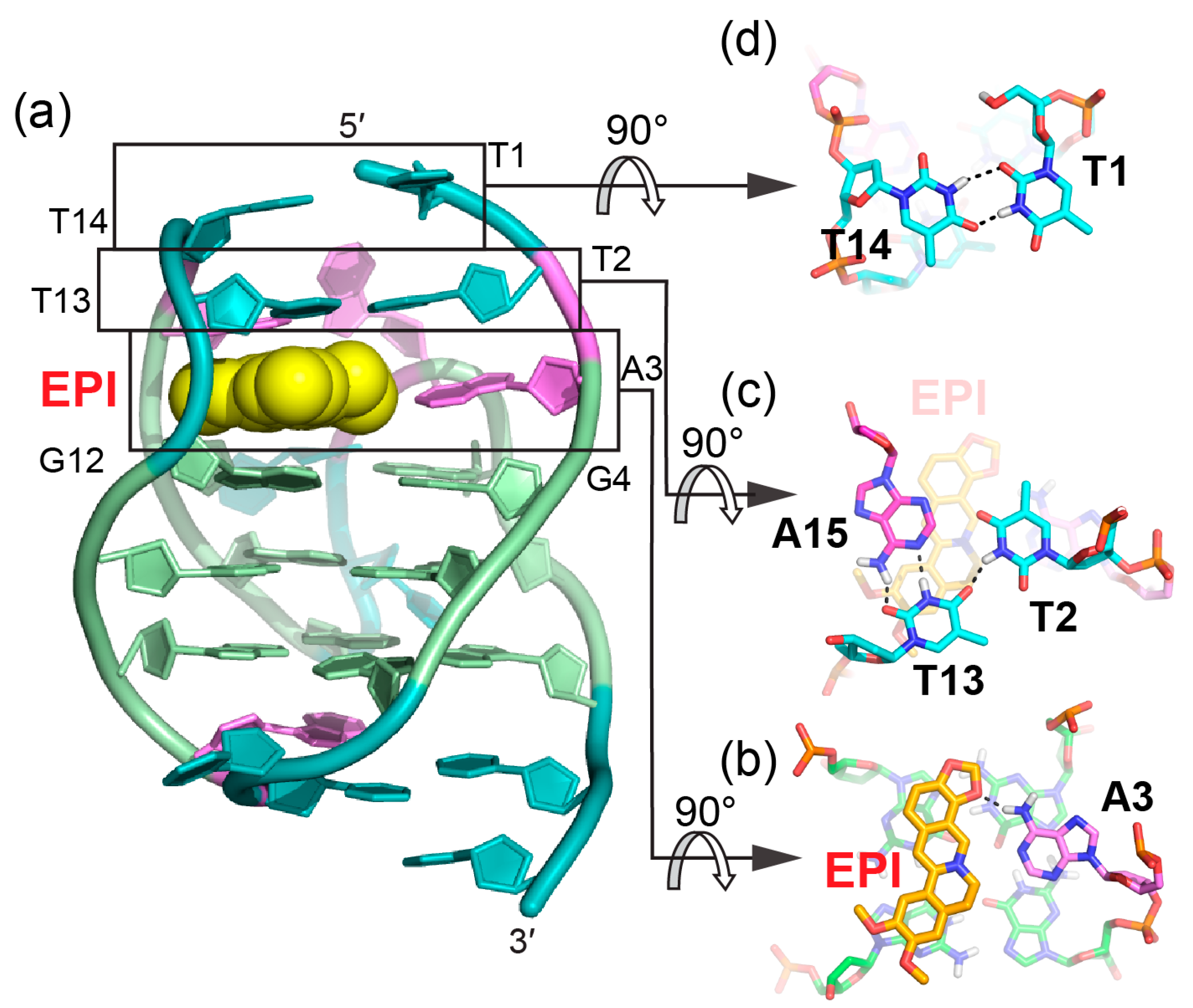 Molecules 24 01578 g004 Molecules 24 01578 g004