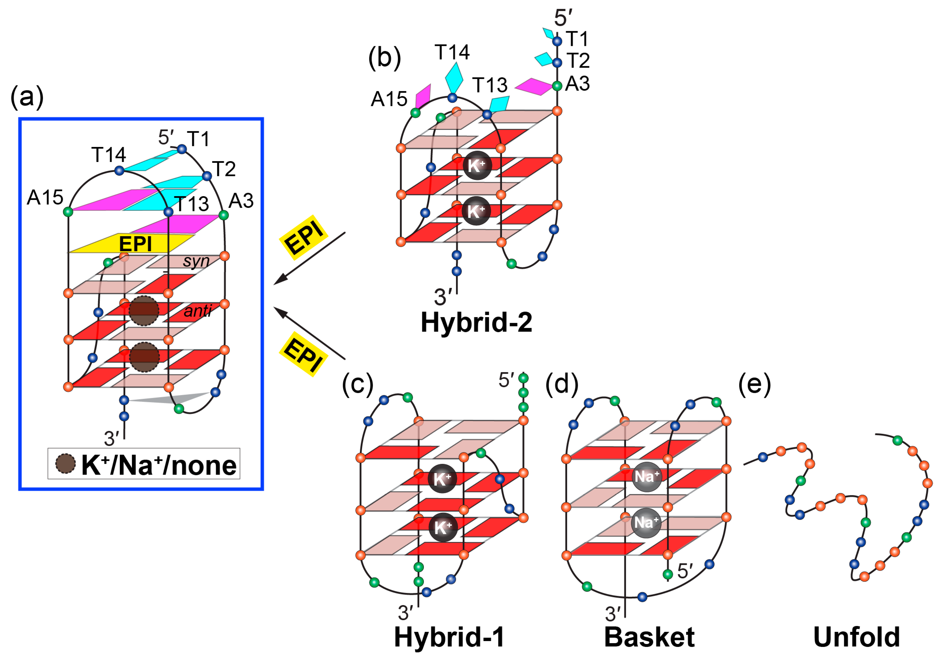 Molecules 24 01578 g005 Molecules 24 01578 g005