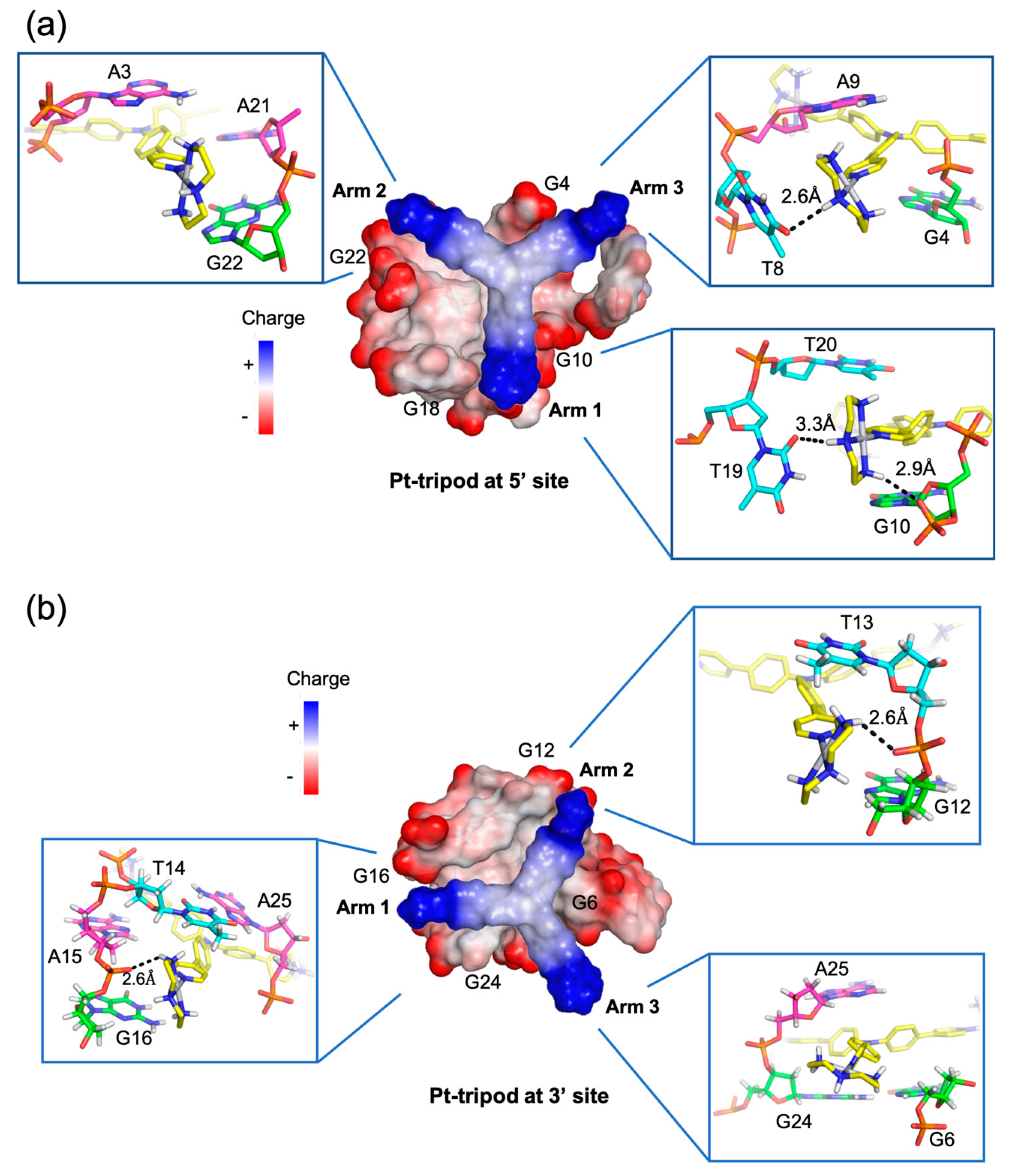 Molecules 24 01578 g007 Molecules 24 01578 g007
