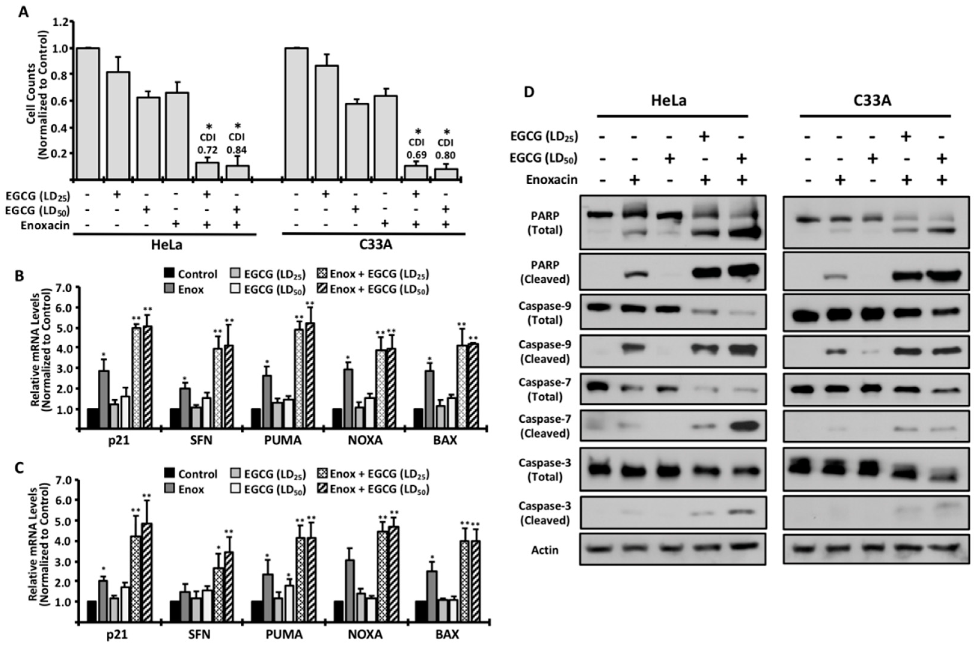 Molecules 24 01580 g003