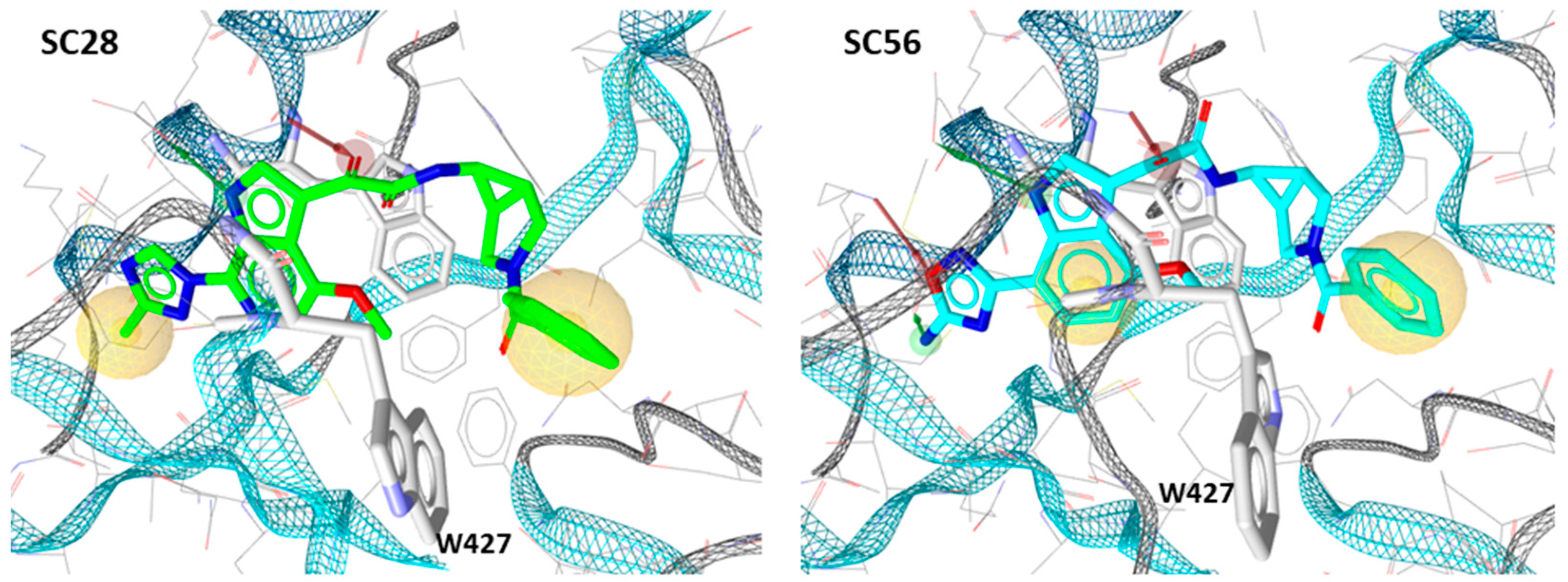 Molecules 24 01581 g004 Molecules 24 01581 g004