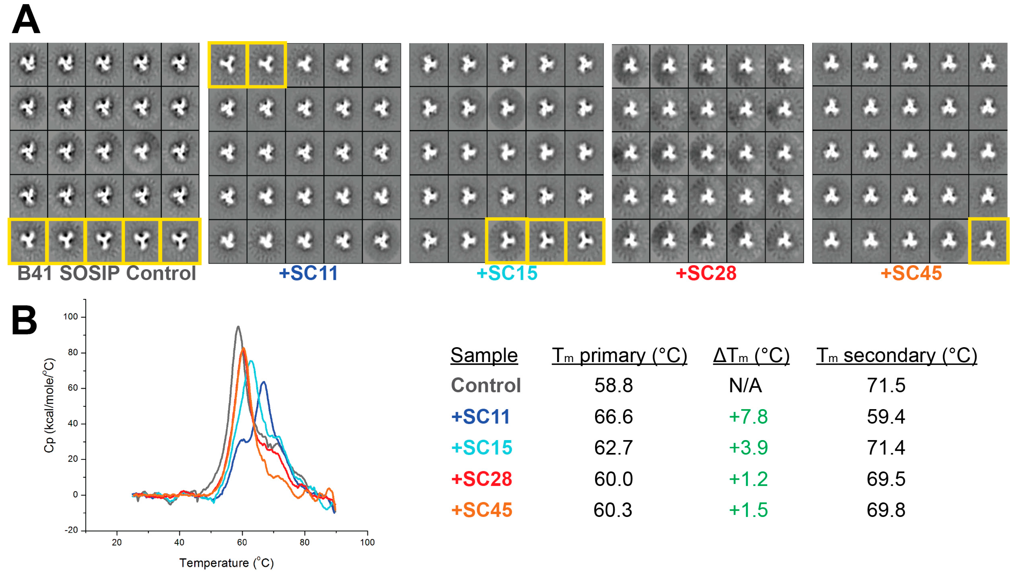 Molecules 24 01581 g005 Molecules 24 01581 g005