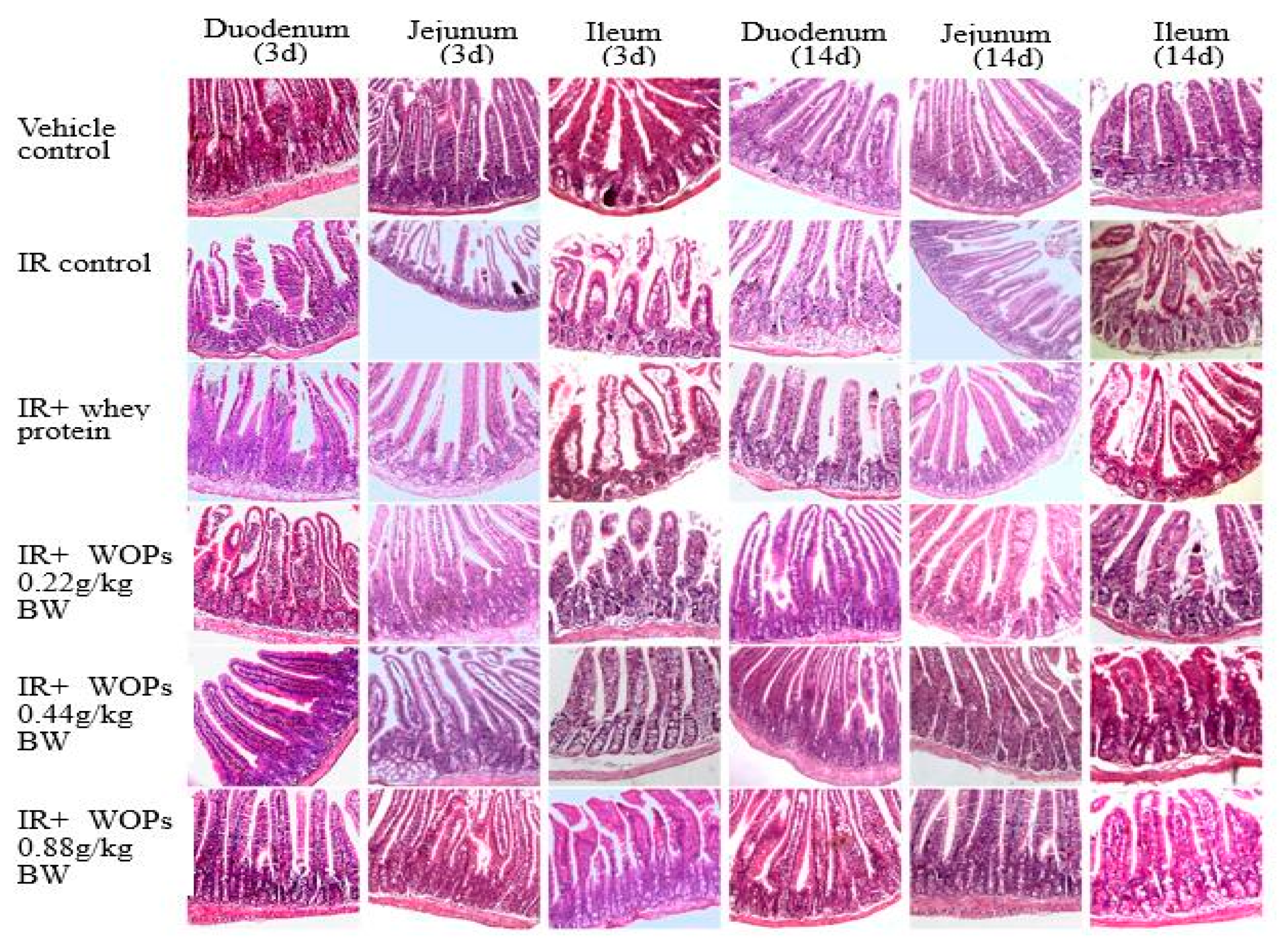 Molecules 24 01582 g006 Molecules 24 01582 g006
