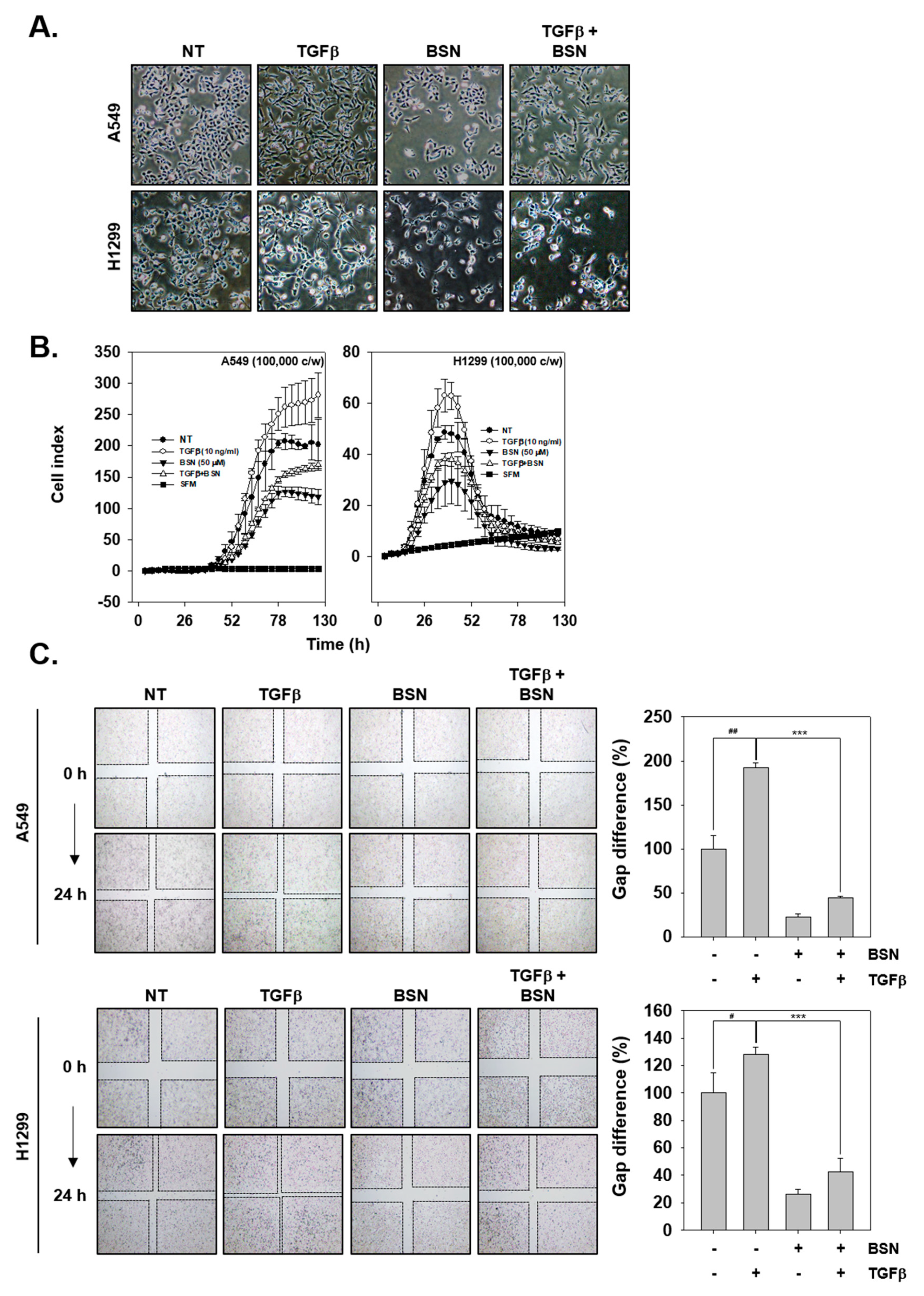 Molecules 24 01584 g004