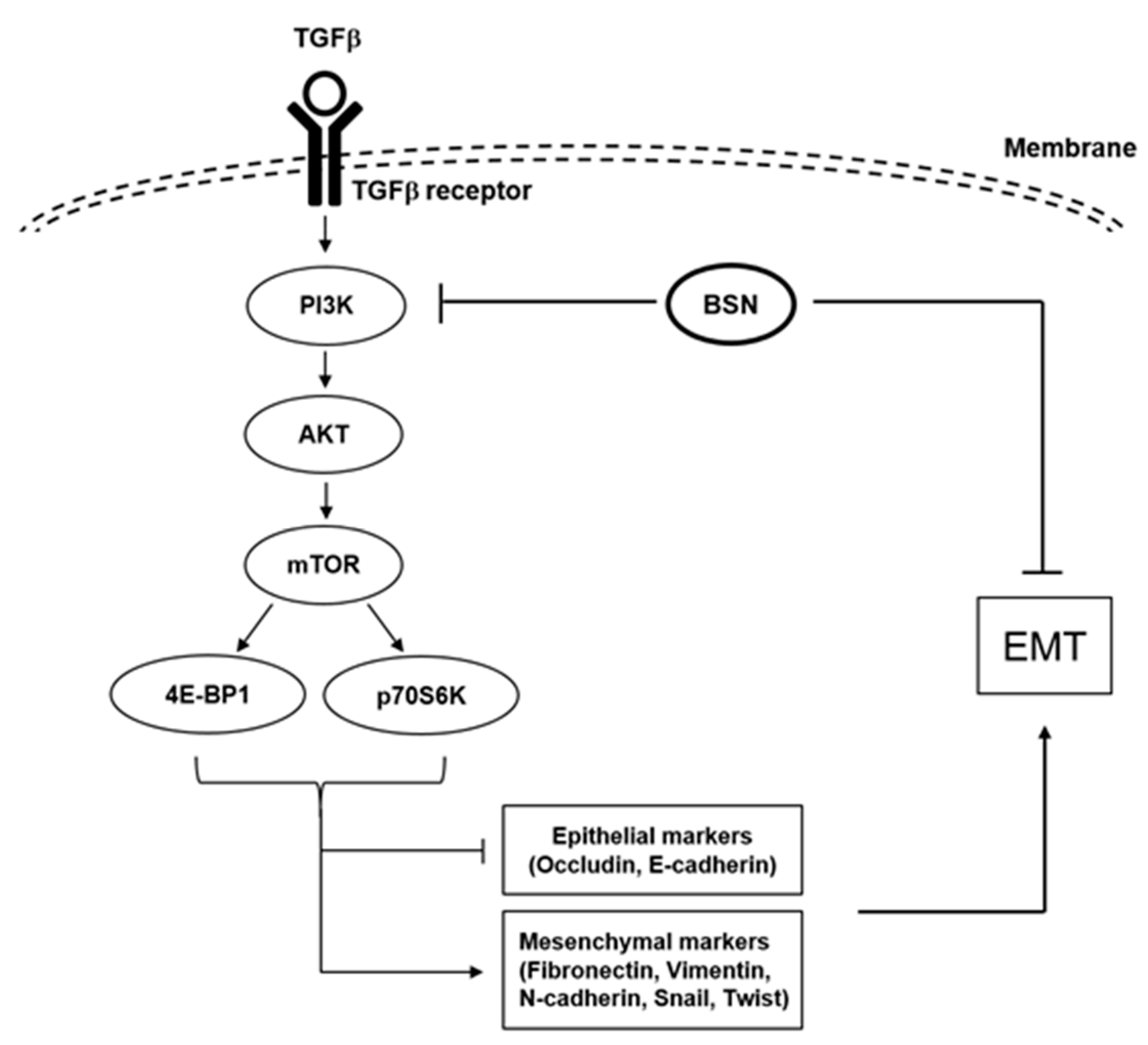 Molecules 24 01584 g006