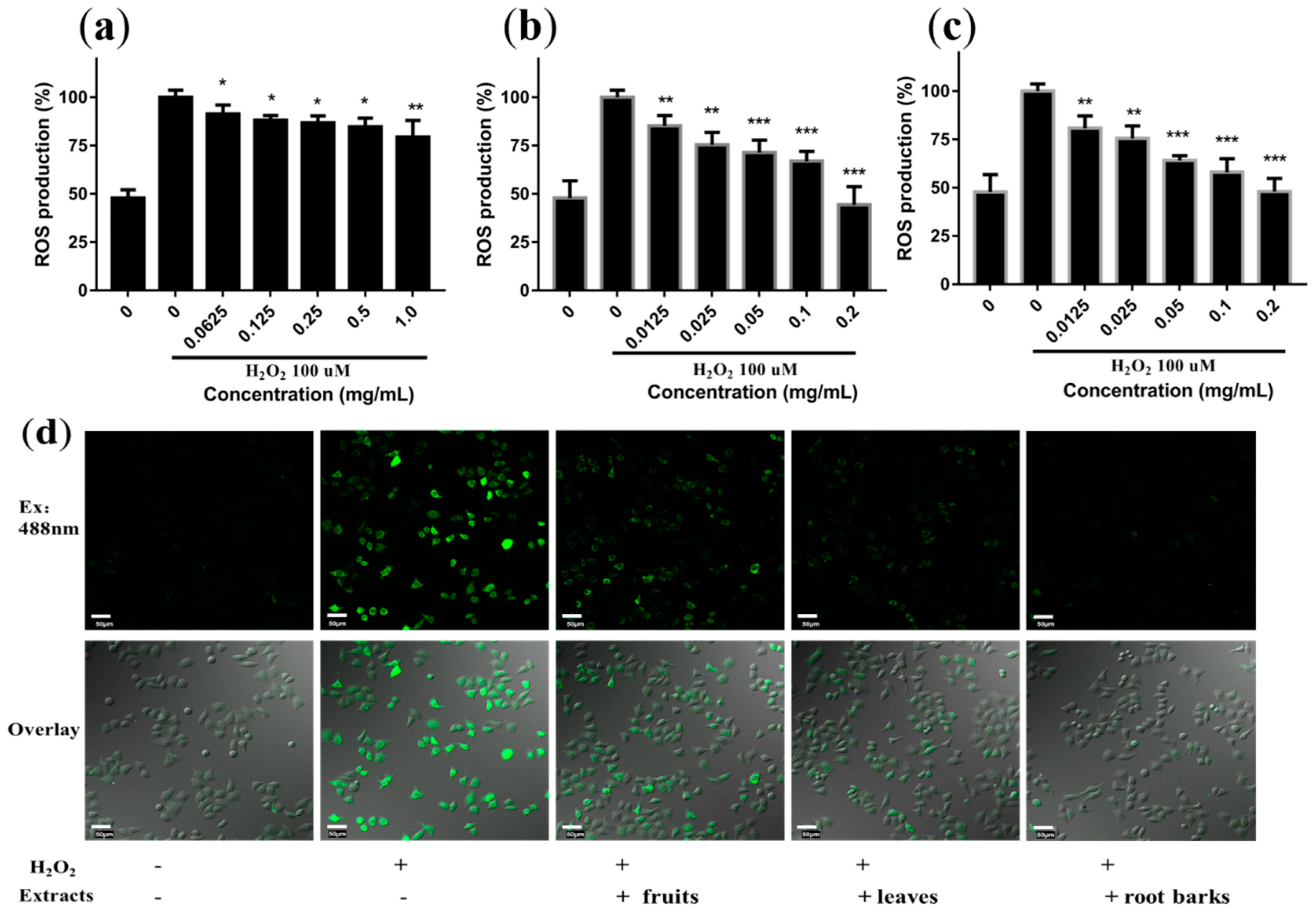 Molecules 24 01585 g004