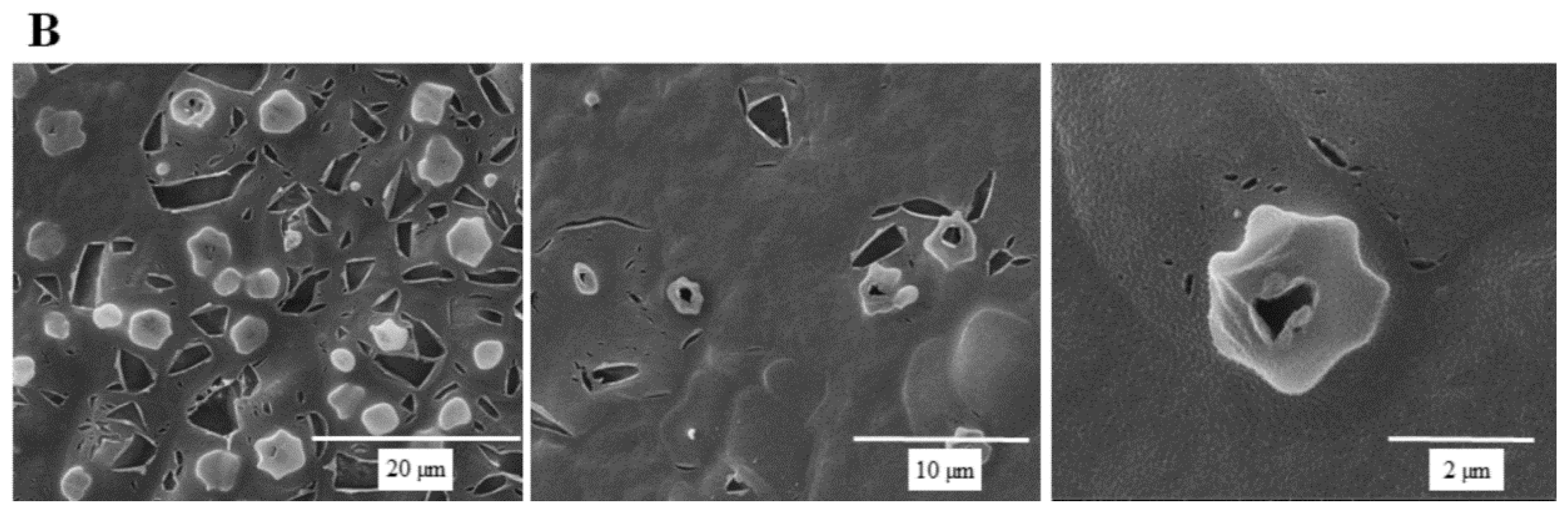 Molecules 24 01587 g005b