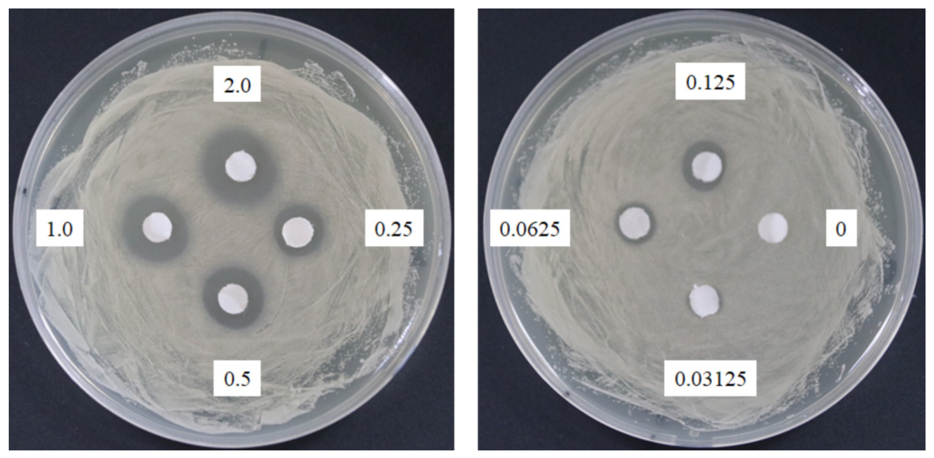 Molecules 24 01587 g008