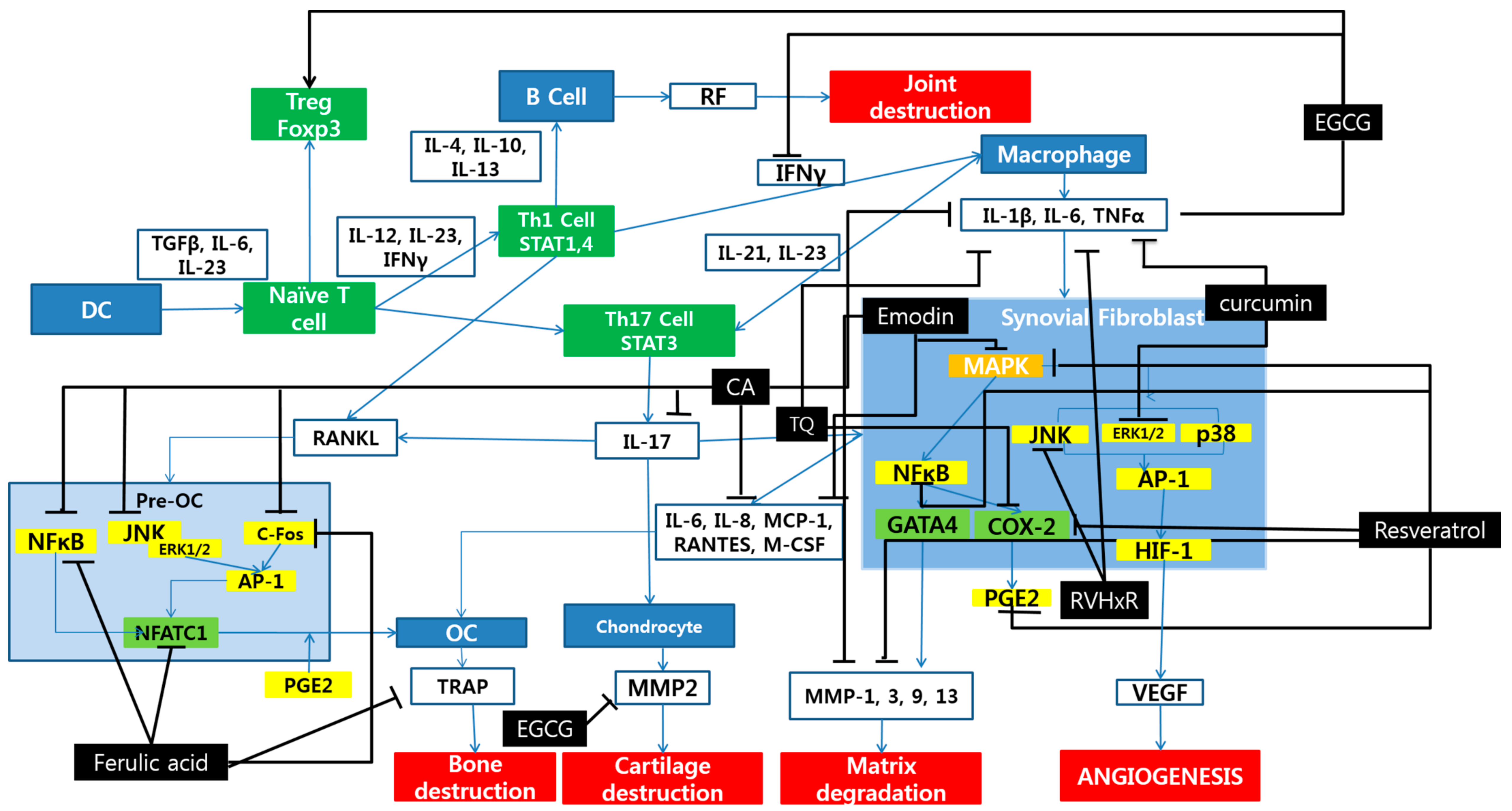Molecules 24 01589 g001