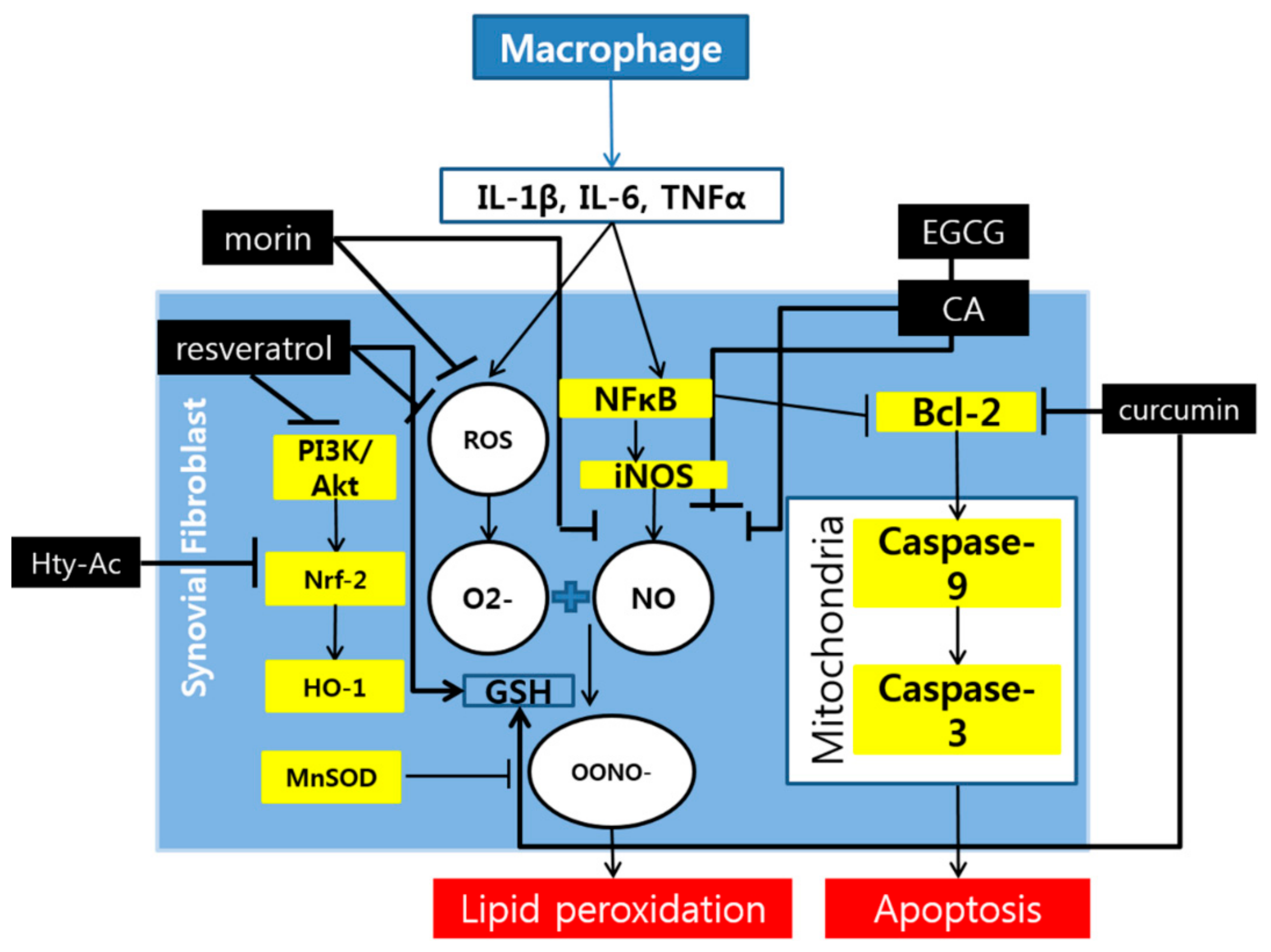 Molecules 24 01589 g002