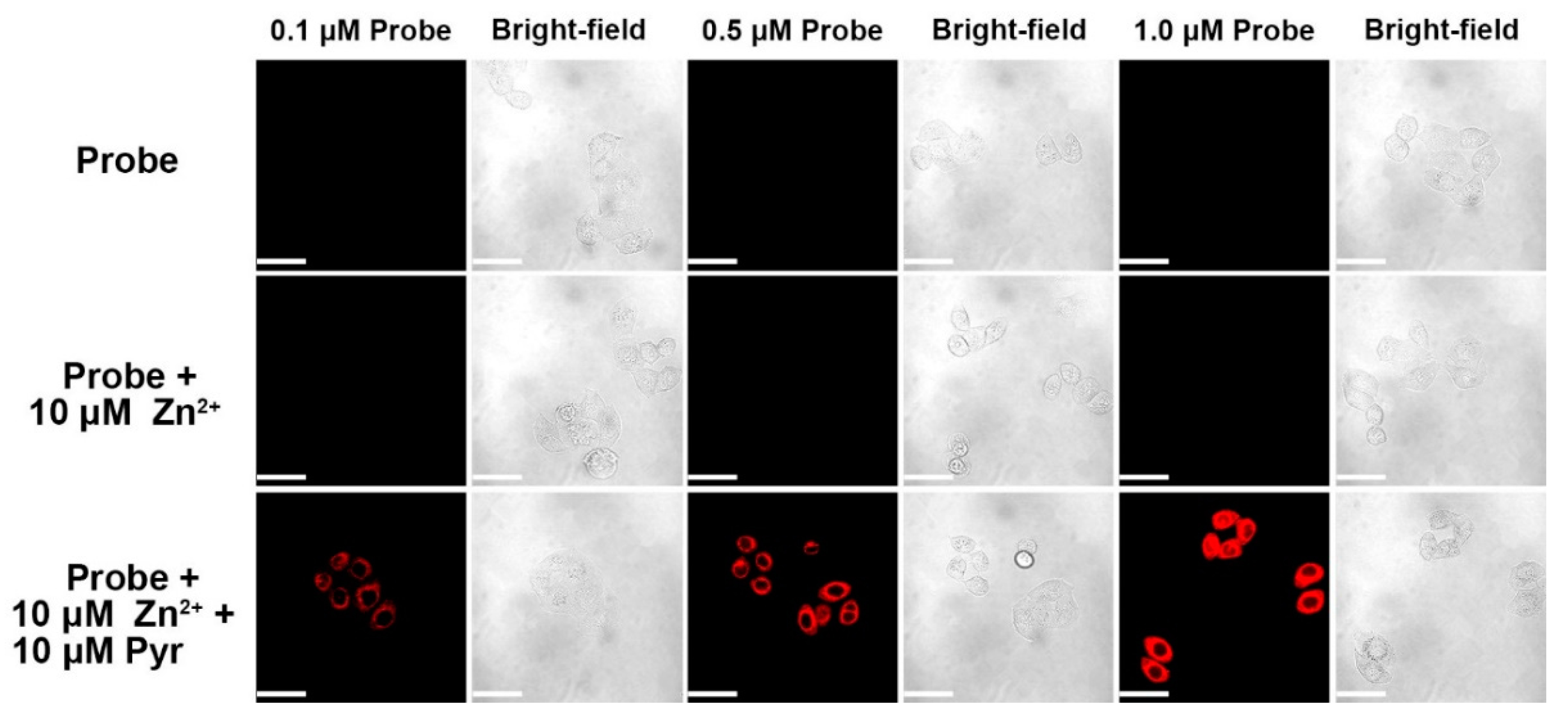Molecules 24 01592 g006