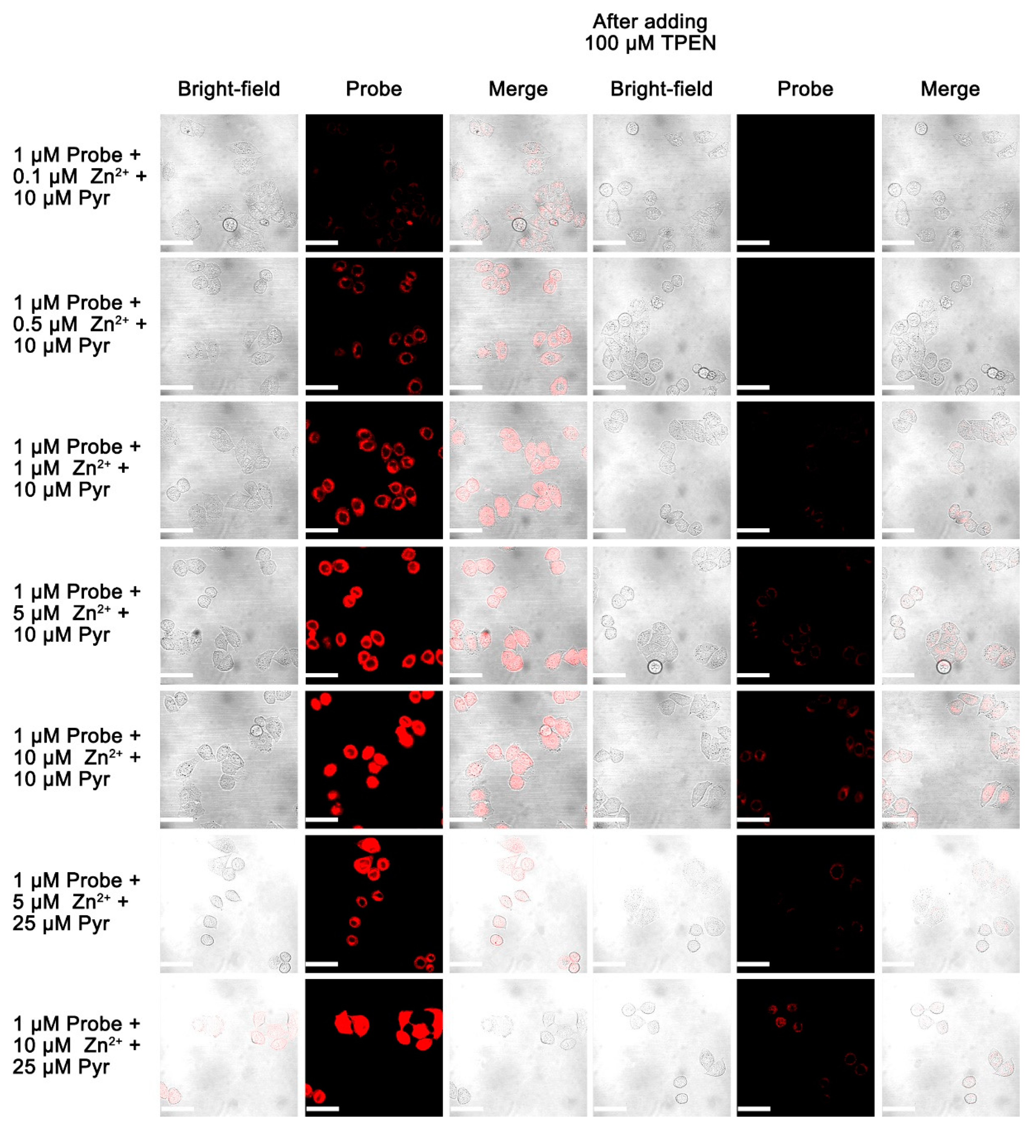 Molecules 24 01592 g007