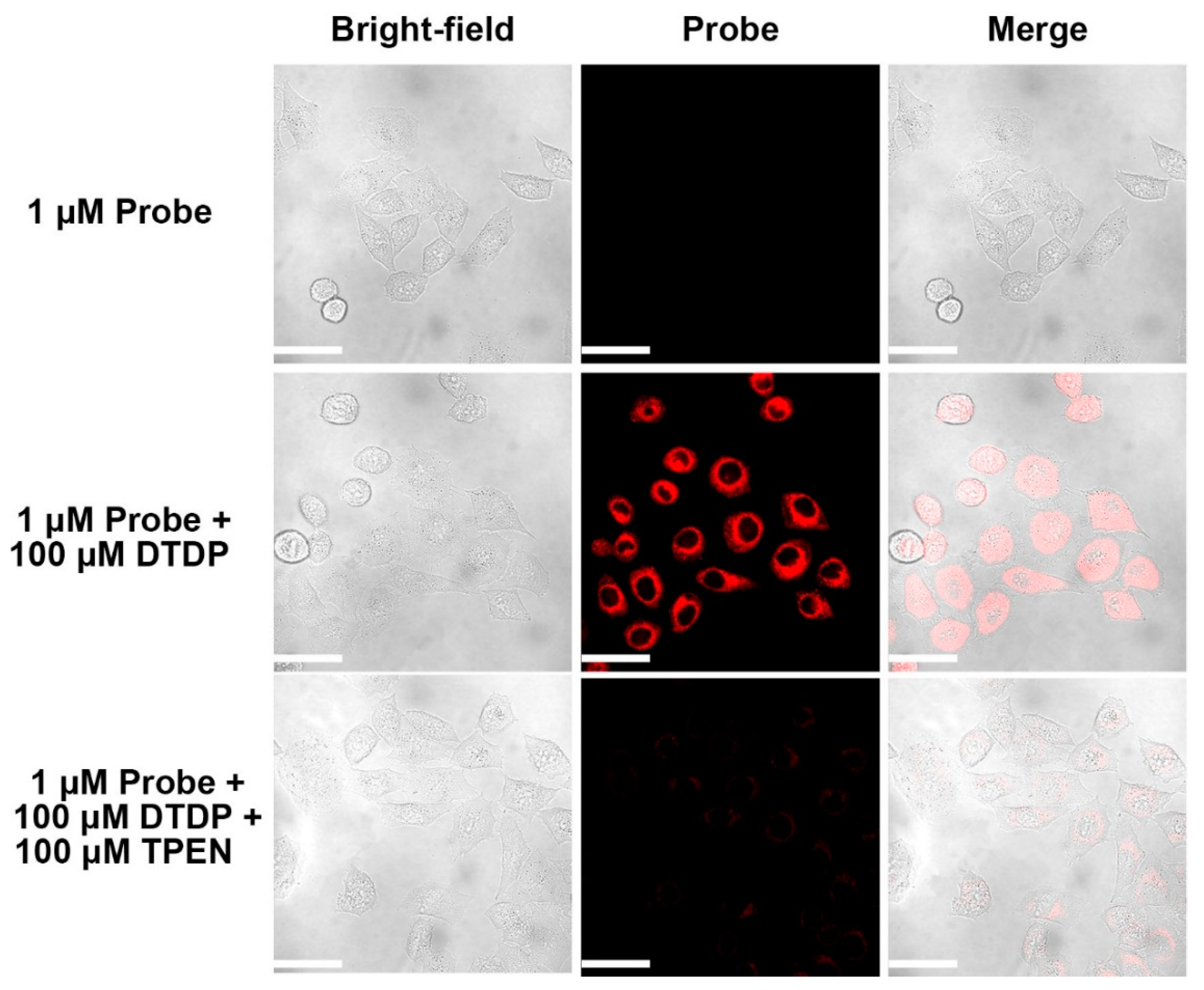 Molecules 24 01592 g008