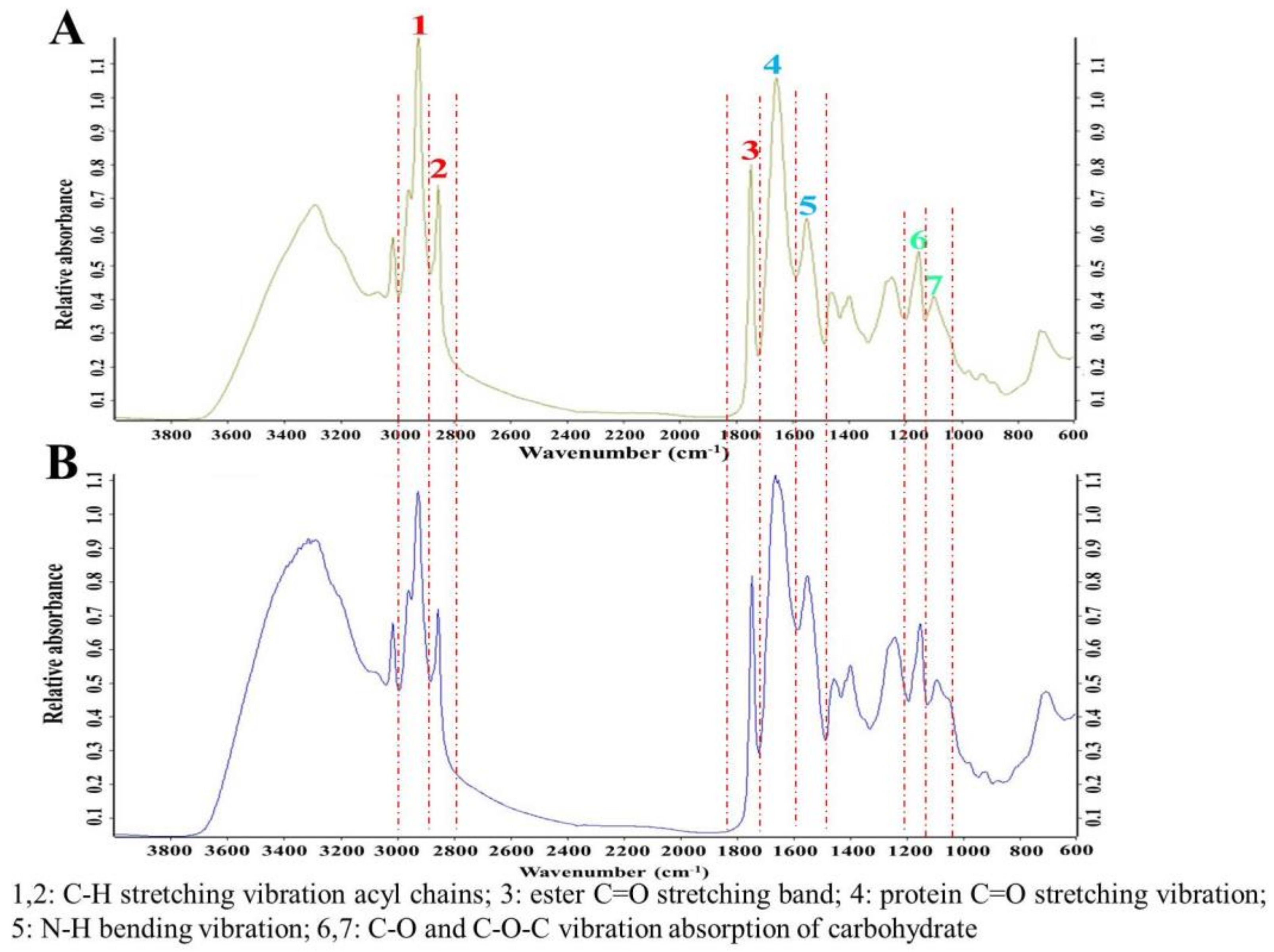 Molecules 24 01593 g001